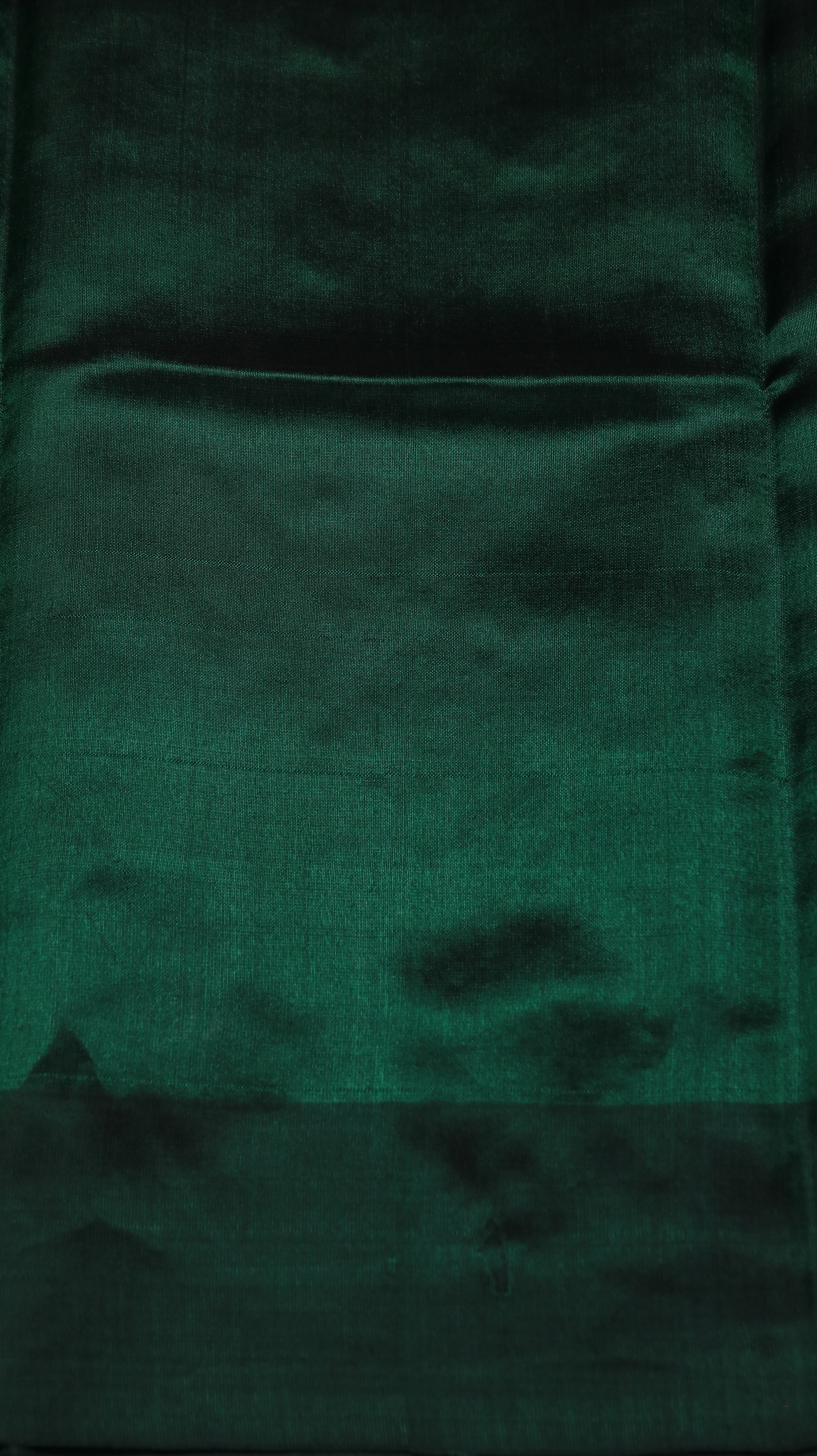 Verdant Jewel | Chanderi