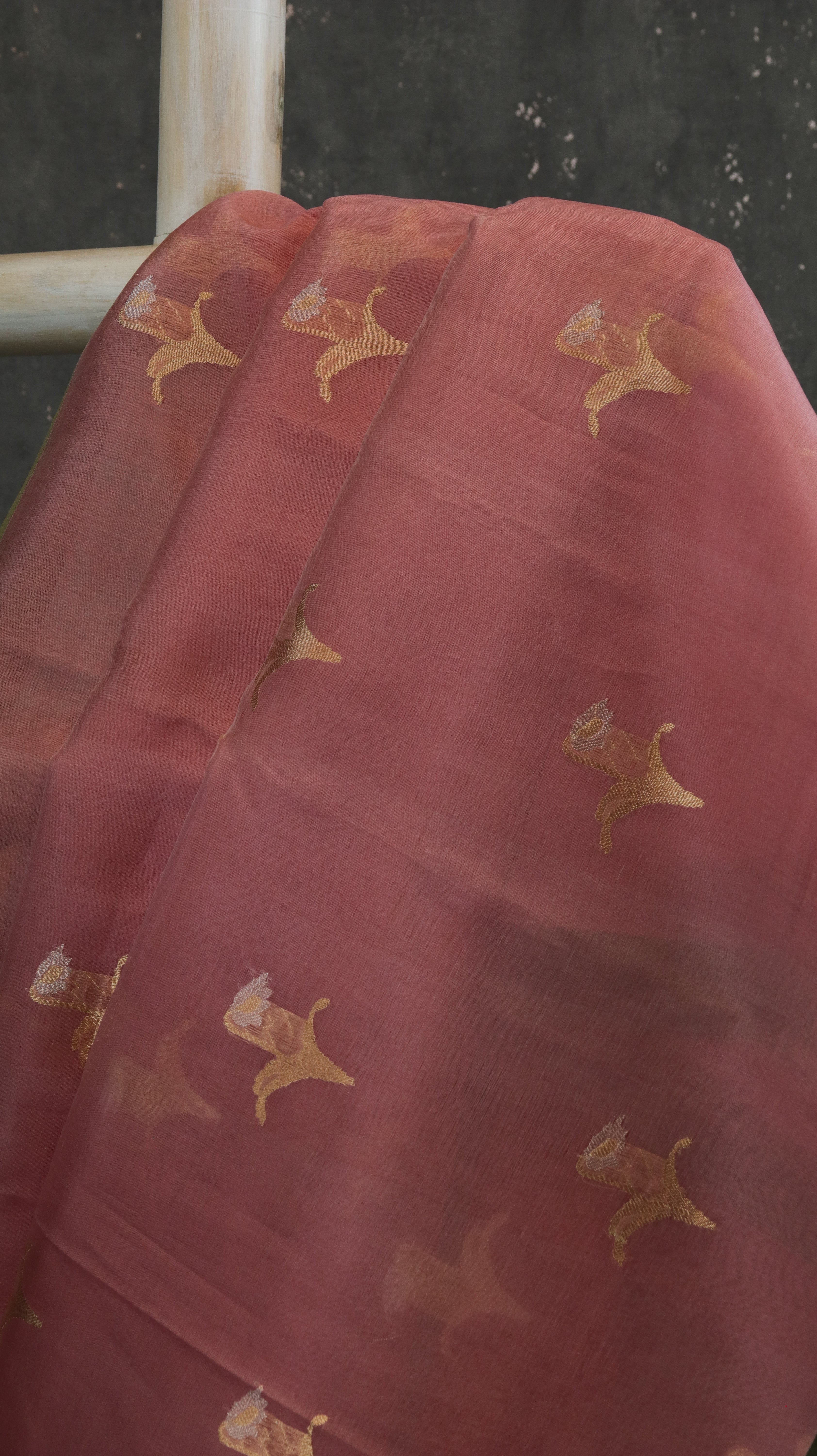 Nritya Ranjani | Banarasi