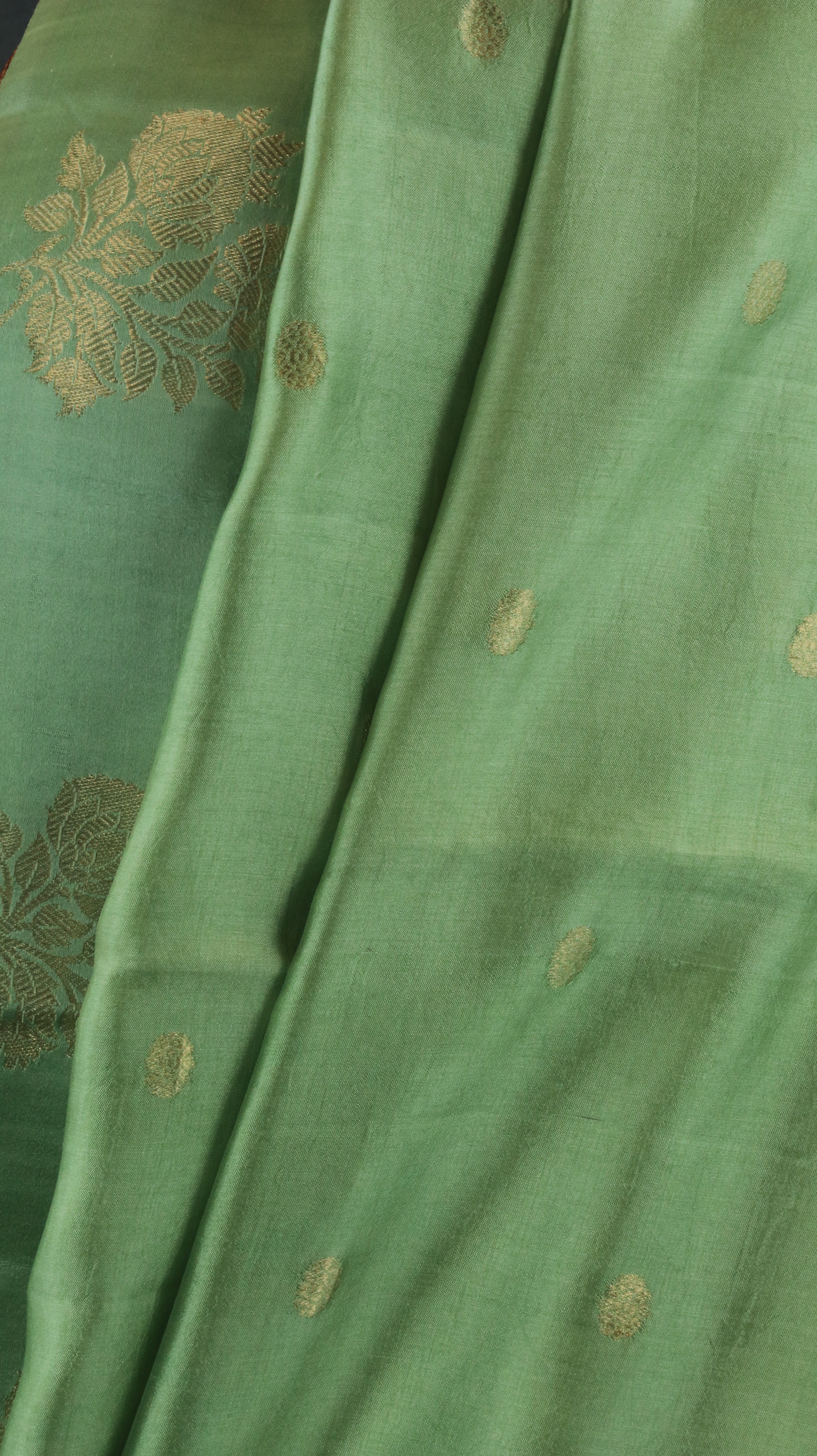 Patralekha | Banarasi