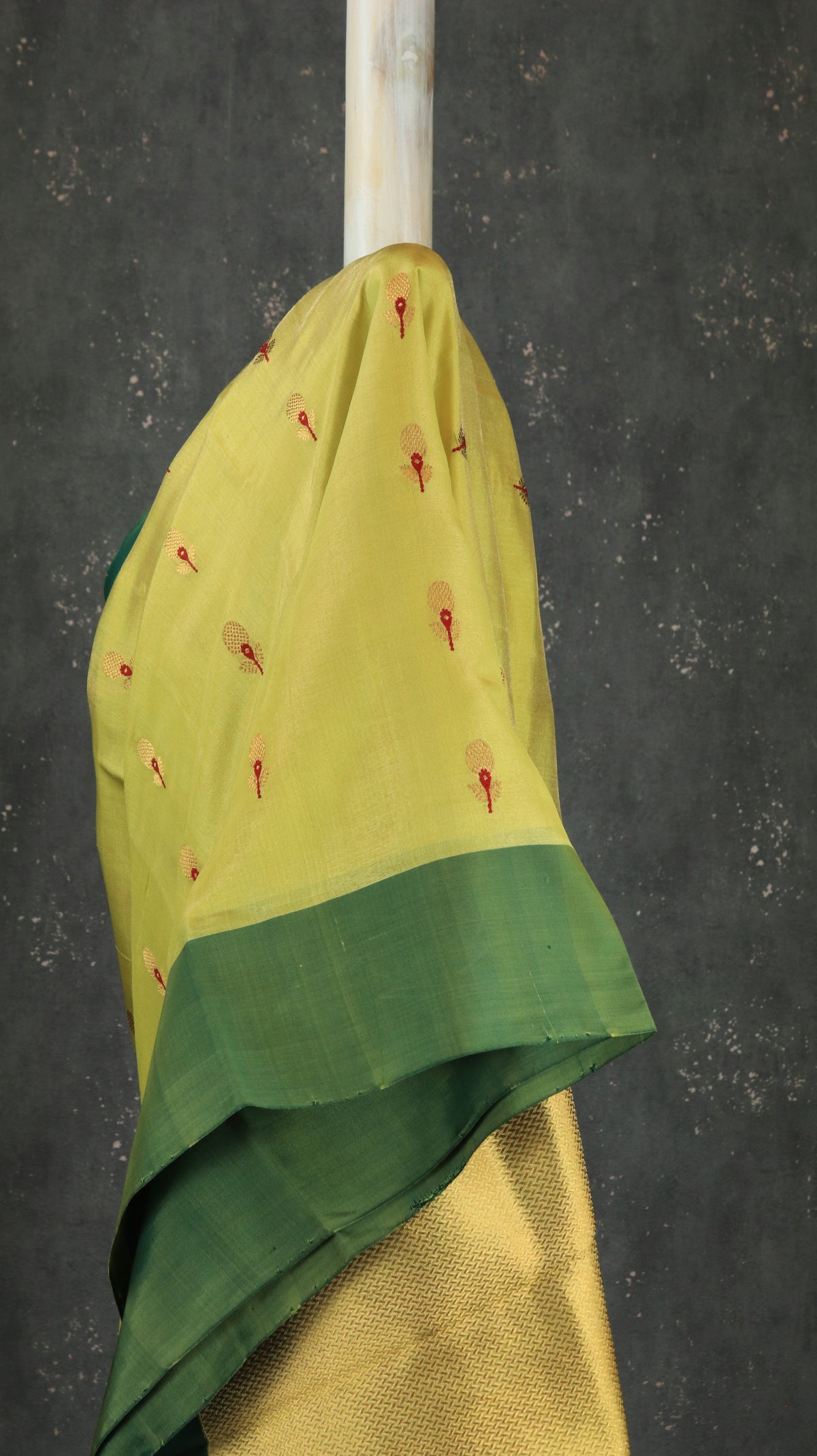 Amrapali | Chanderi
