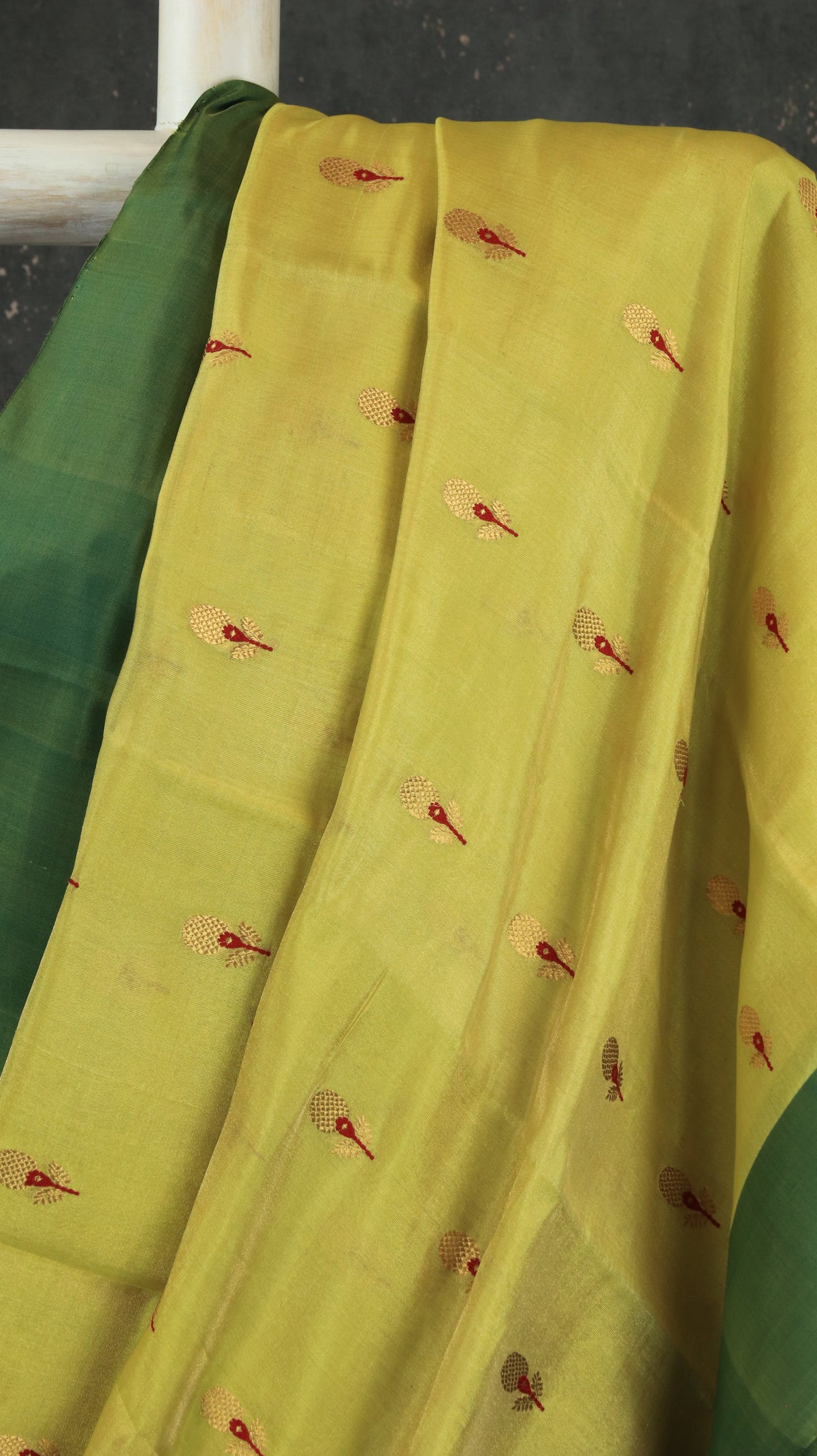 Amrapali | Chanderi