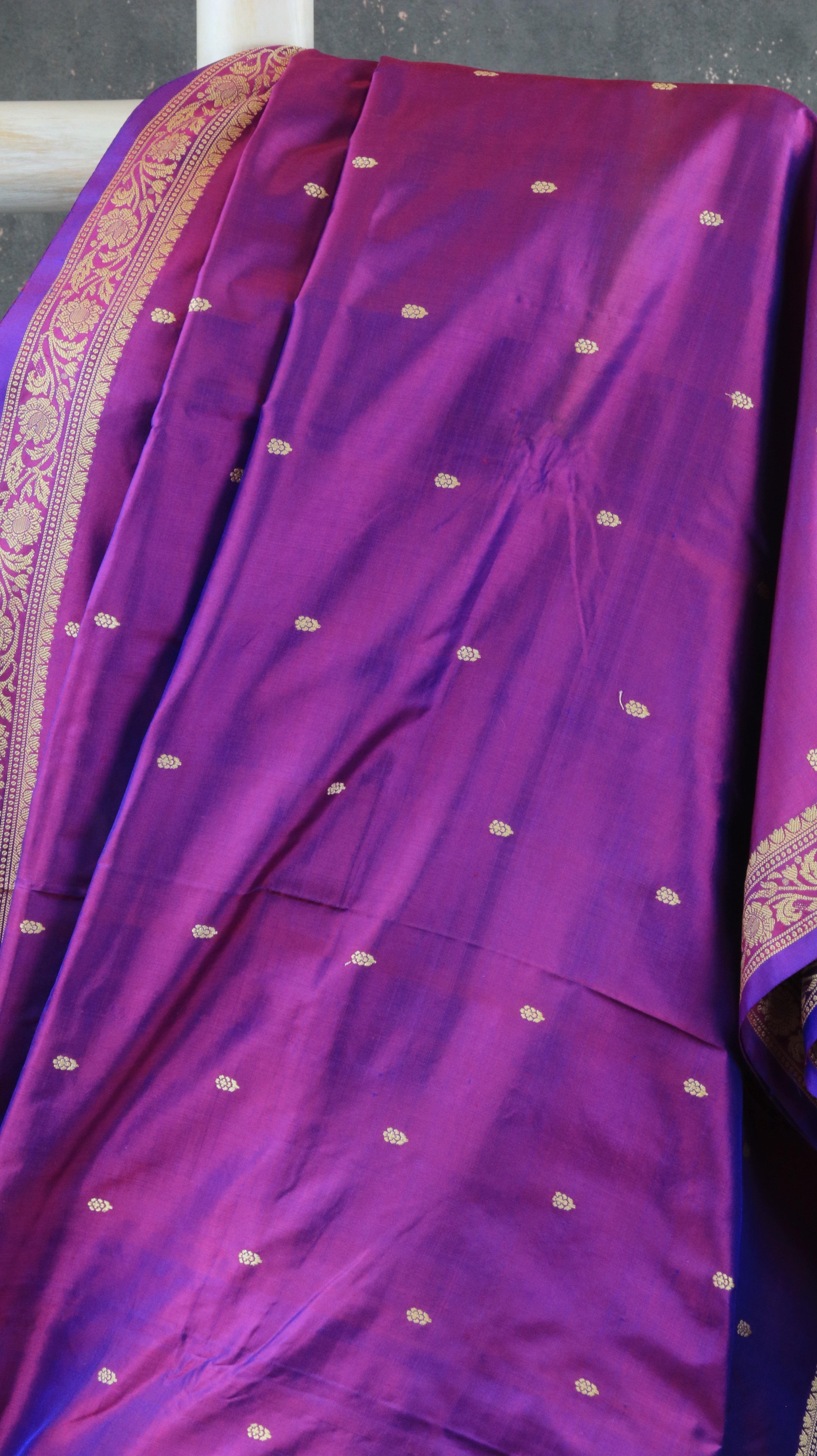 Regal Iris | Banarasi