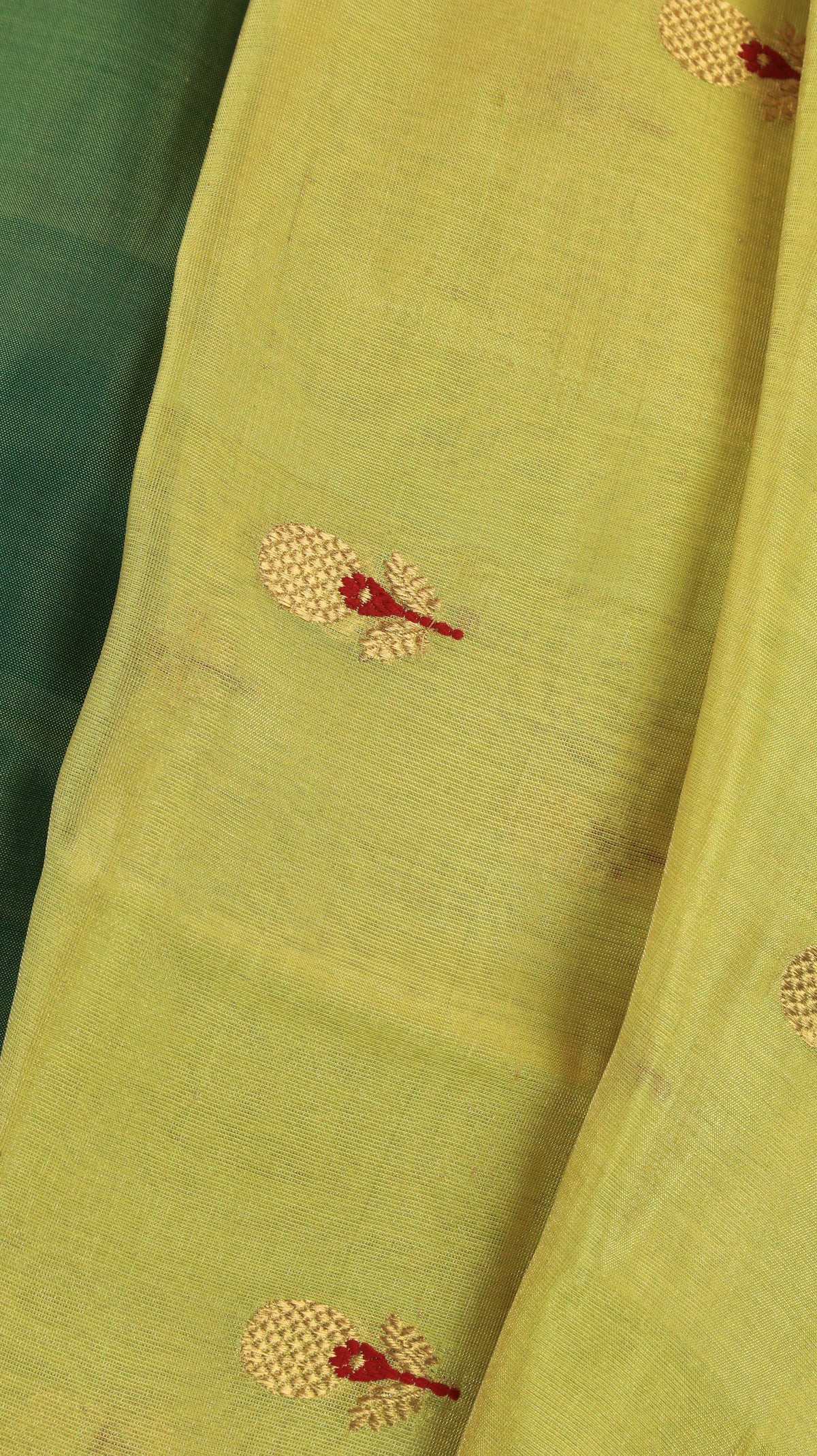 Amrapali | Chanderi