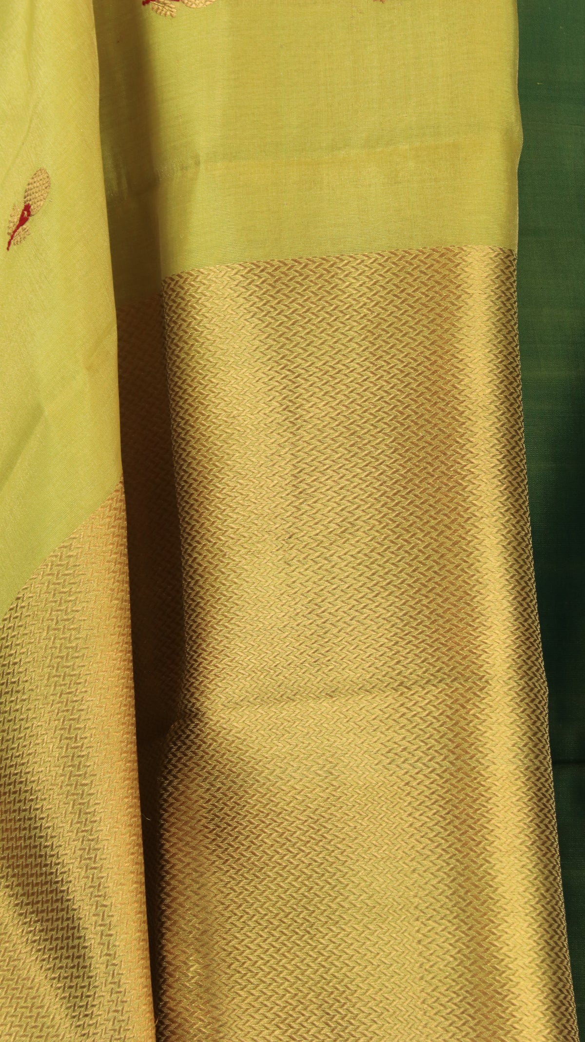 Amrapali | Chanderi