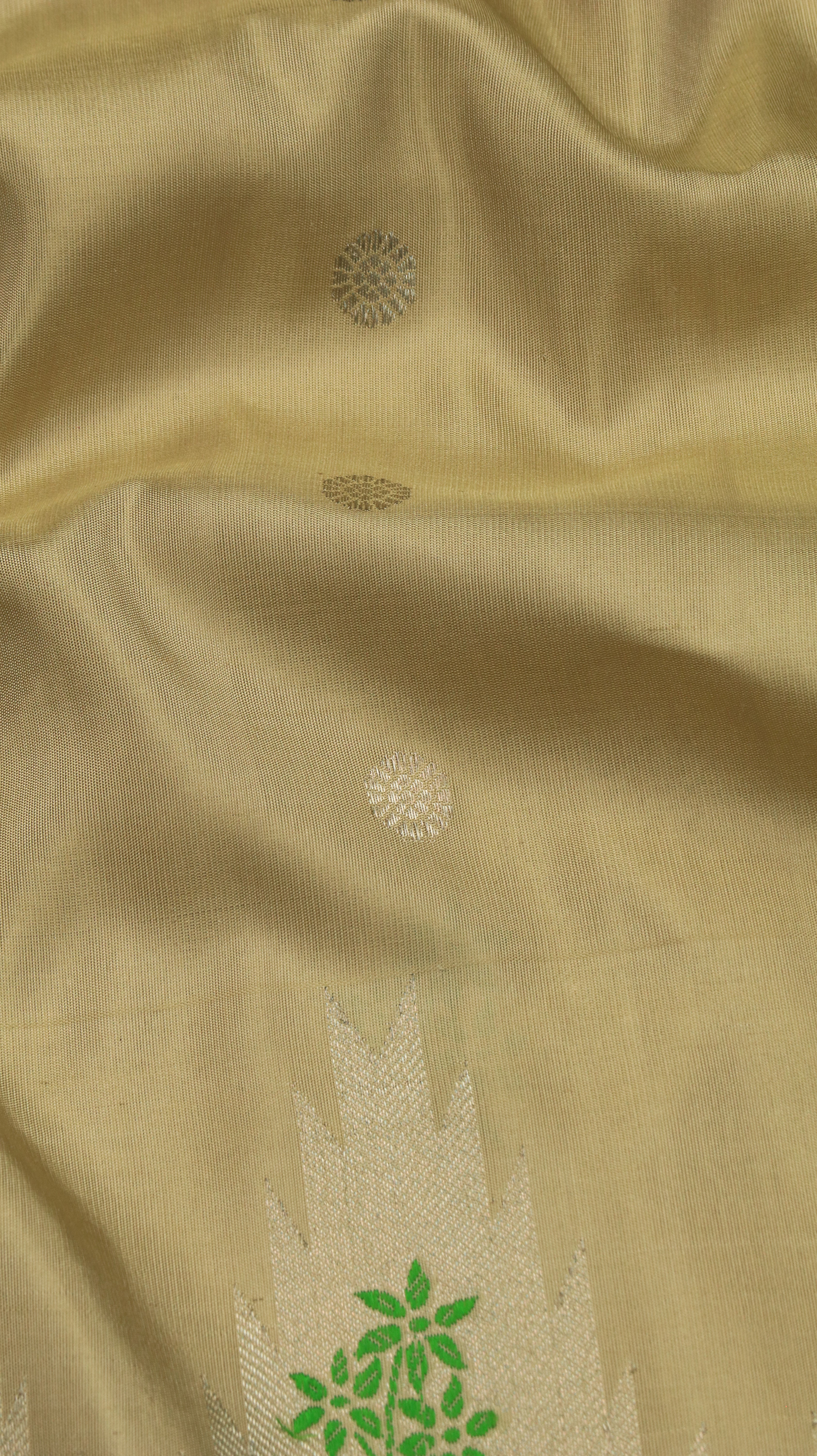 Ivory Garden | Gadwal