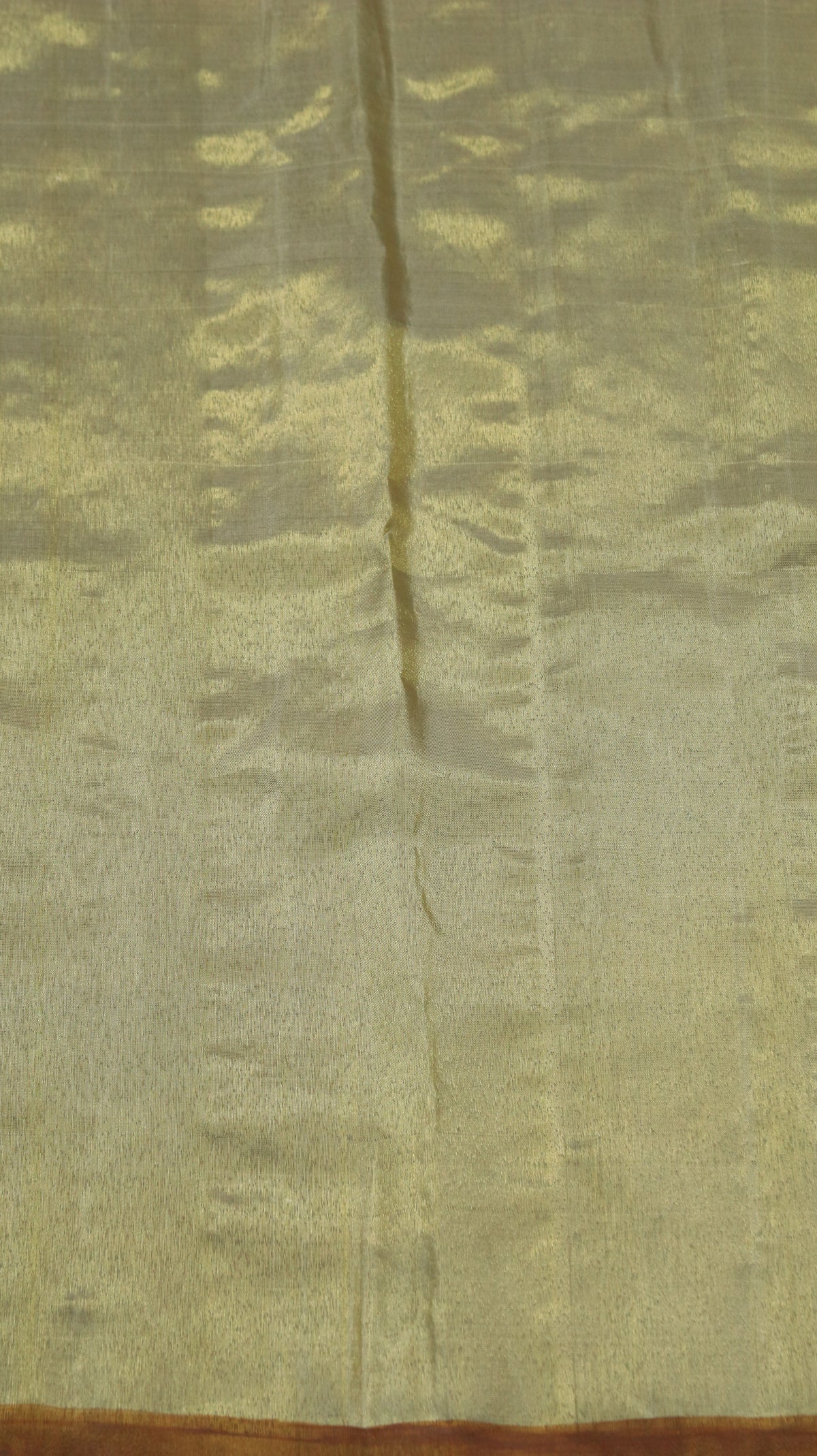 Sonakshi | Gadwal Tissue