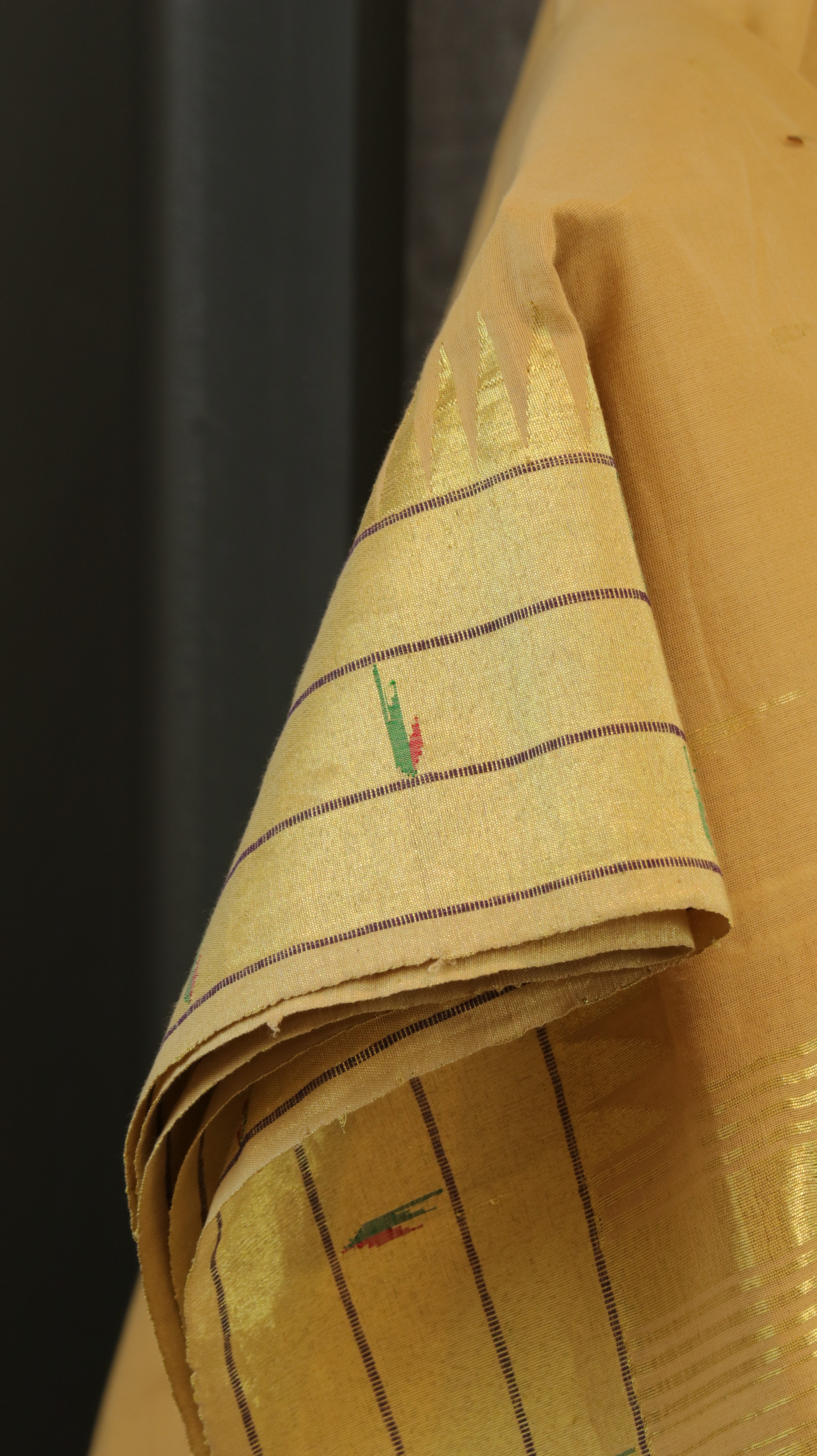 Swarna lekha | Paithani