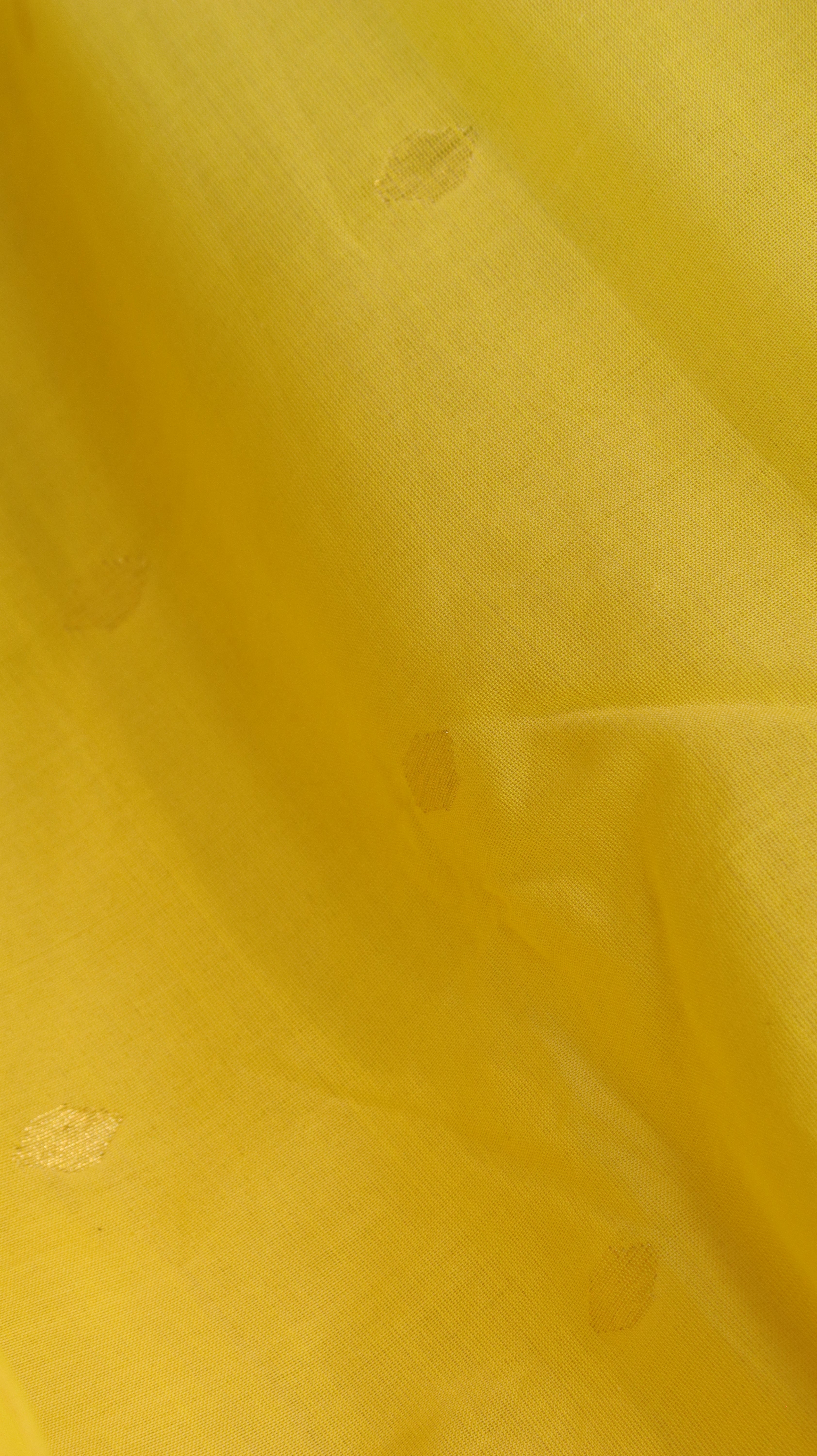 Kanchan Haldi | Paithani