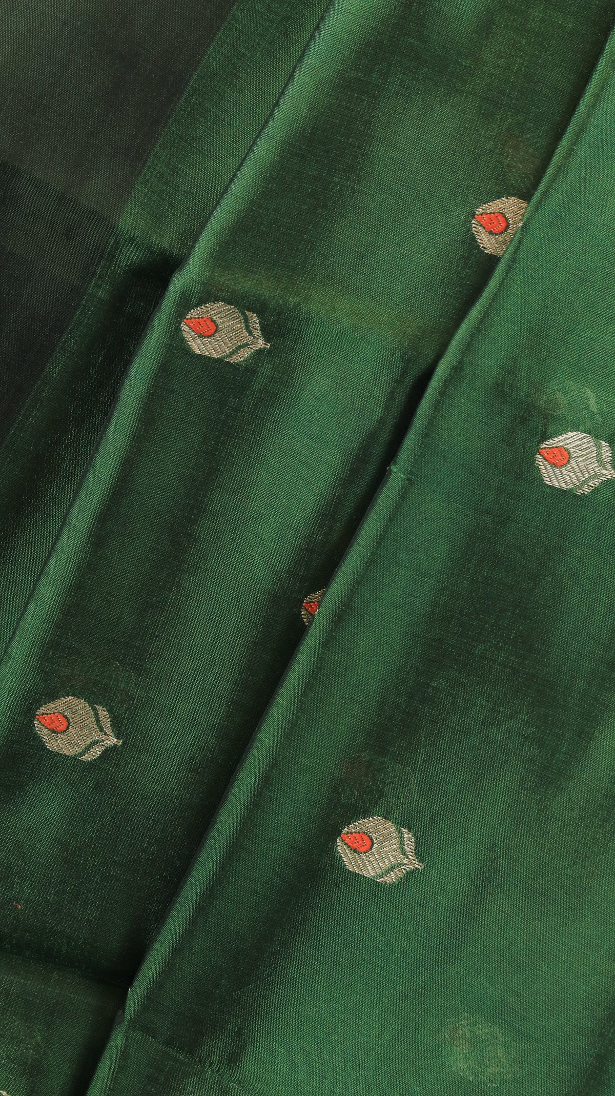Aranyani | Chanderi