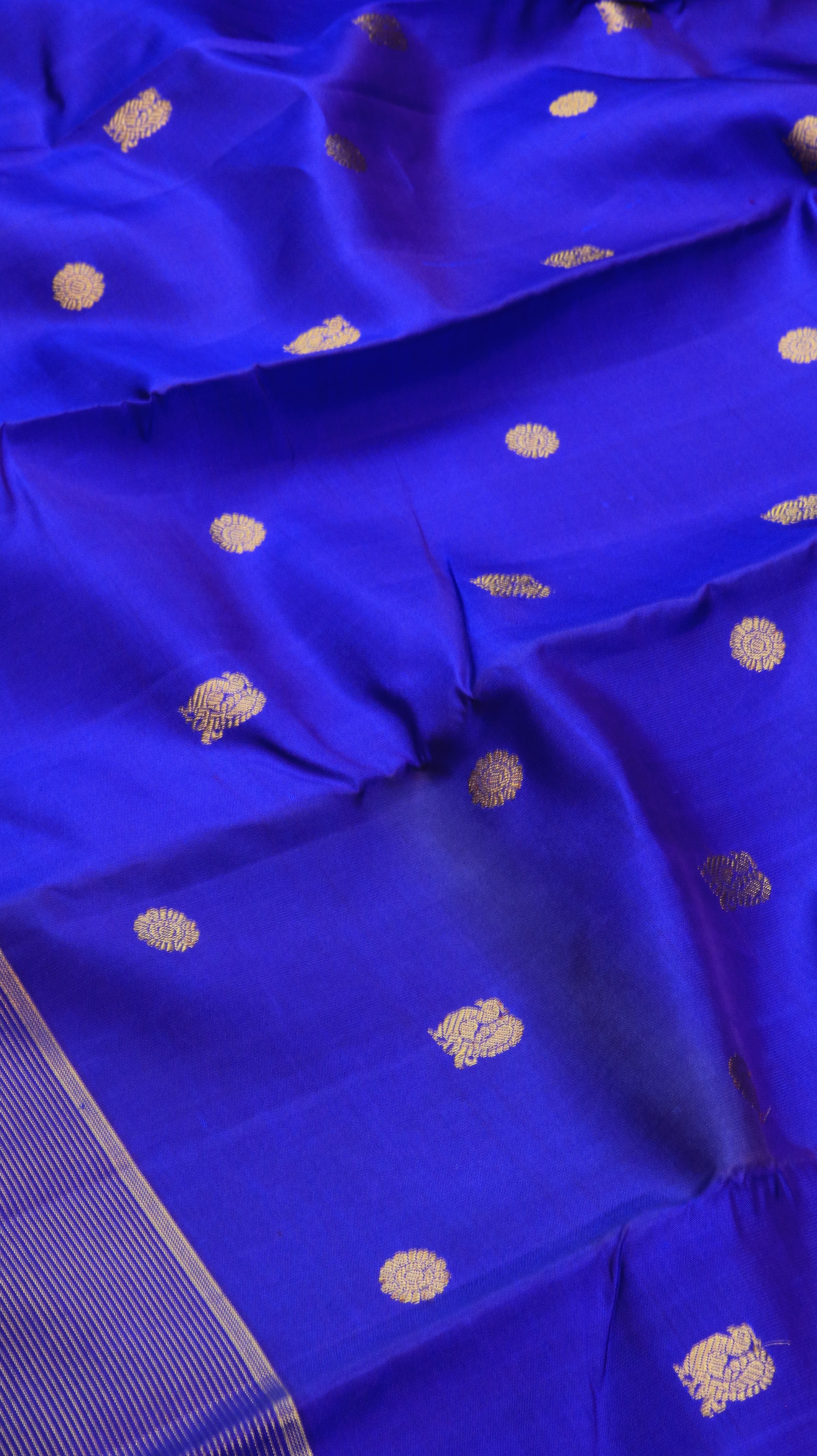 Nilaaranya | Kanjivaram