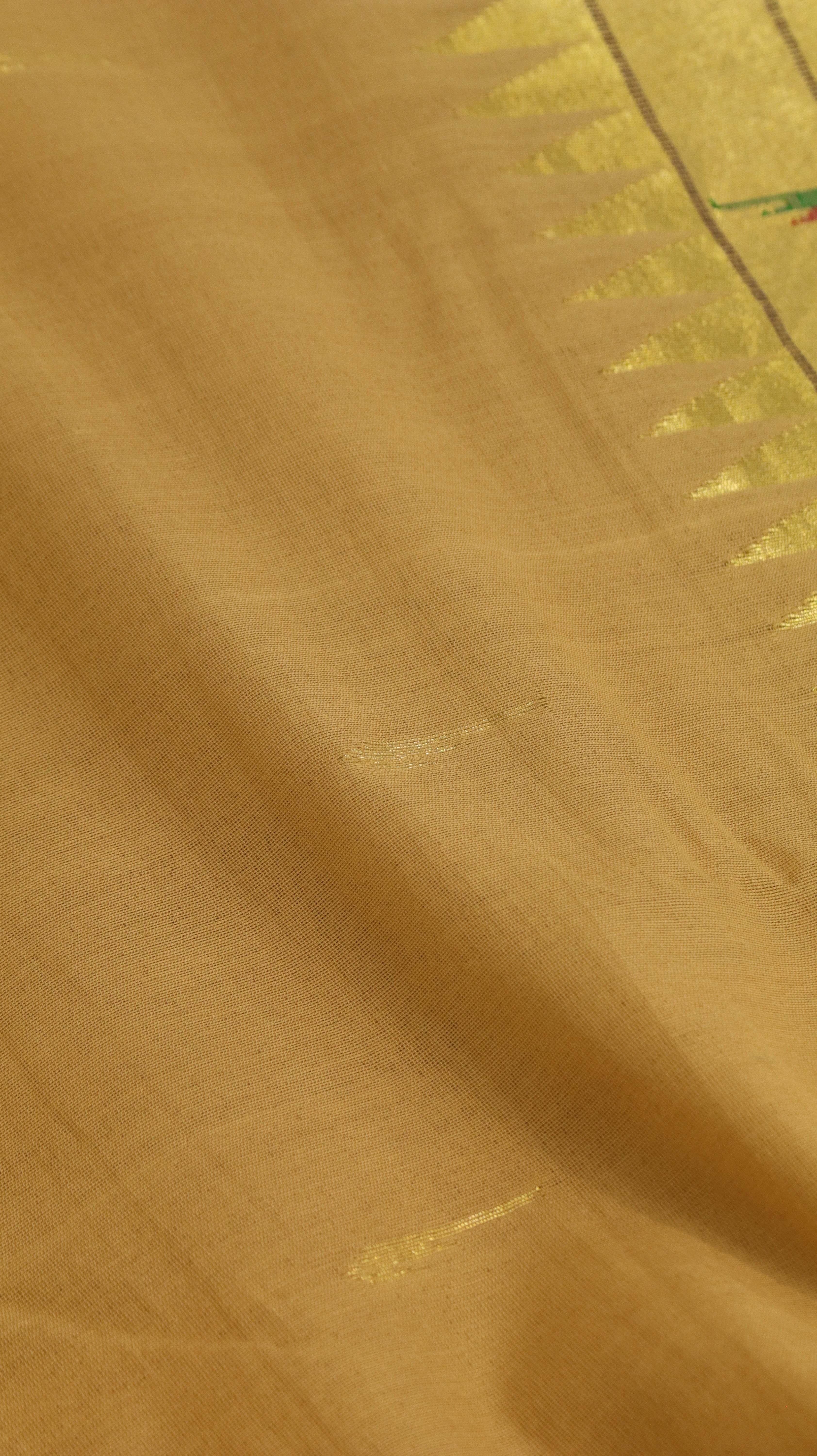 Swarna lekha | Paithani