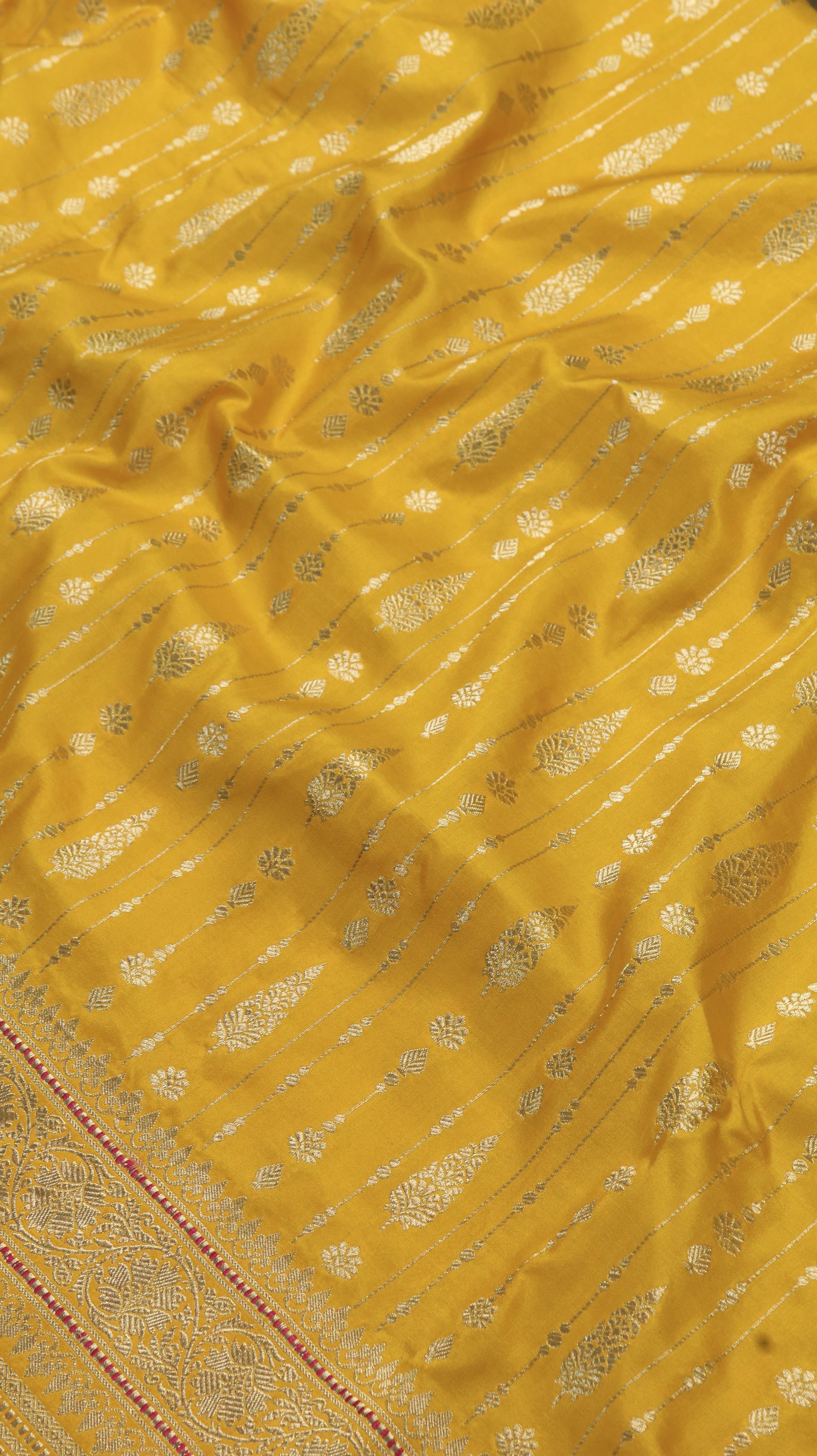 Golden Sonata | Banarasi