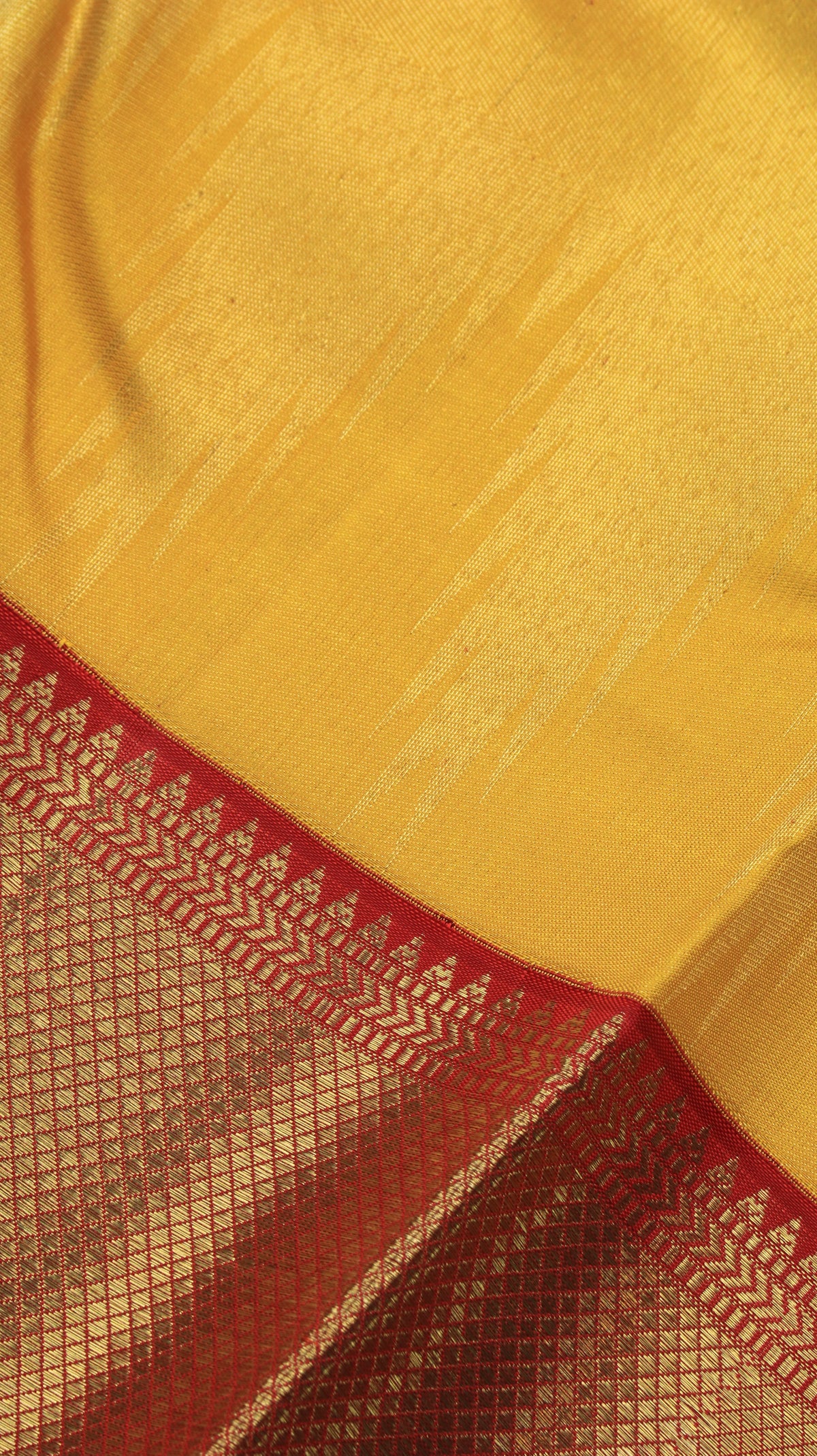 Arunima | Kanjivaram