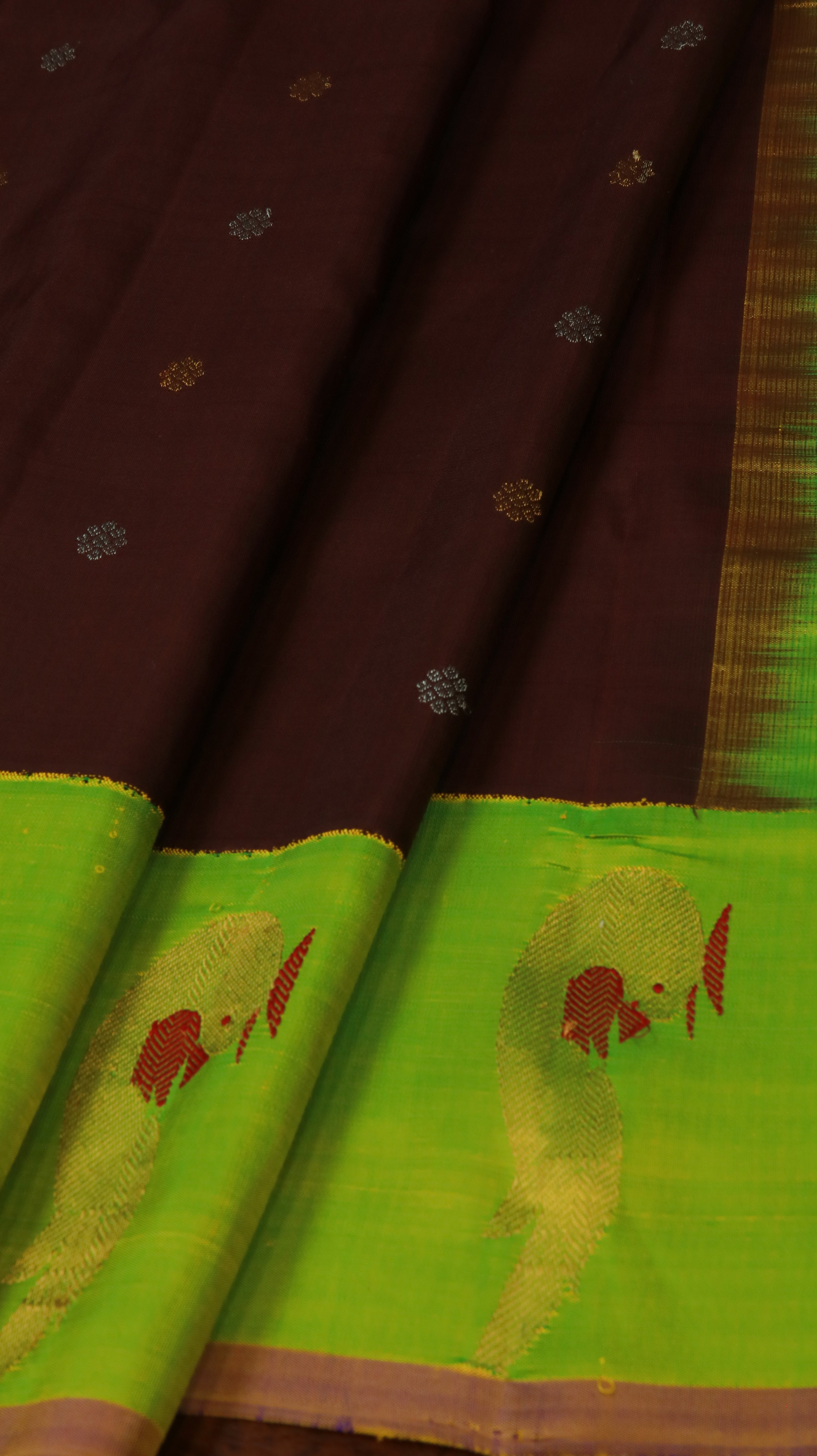 Twilight Fern | Gadwal