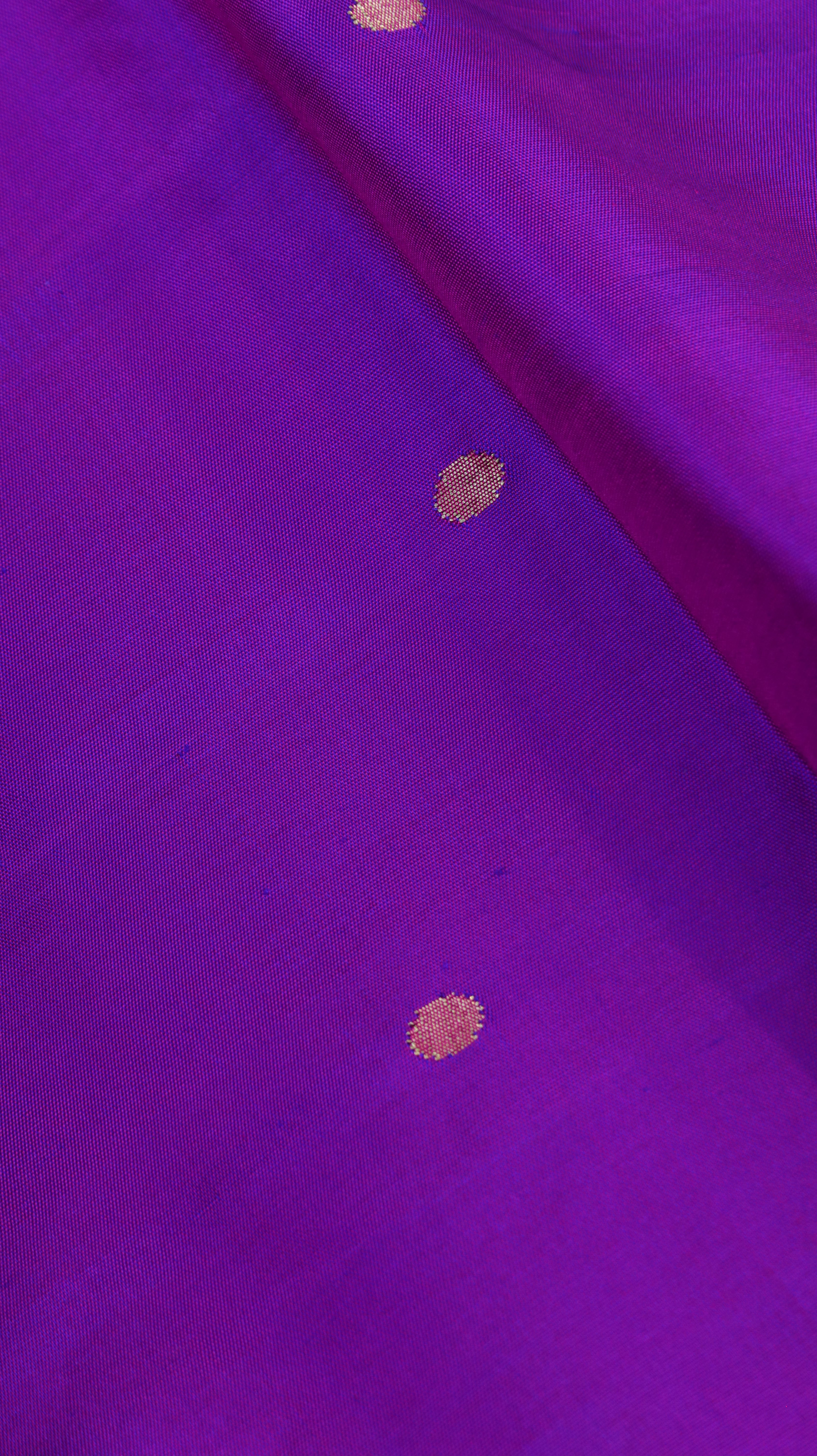 Vilasita| Paithani