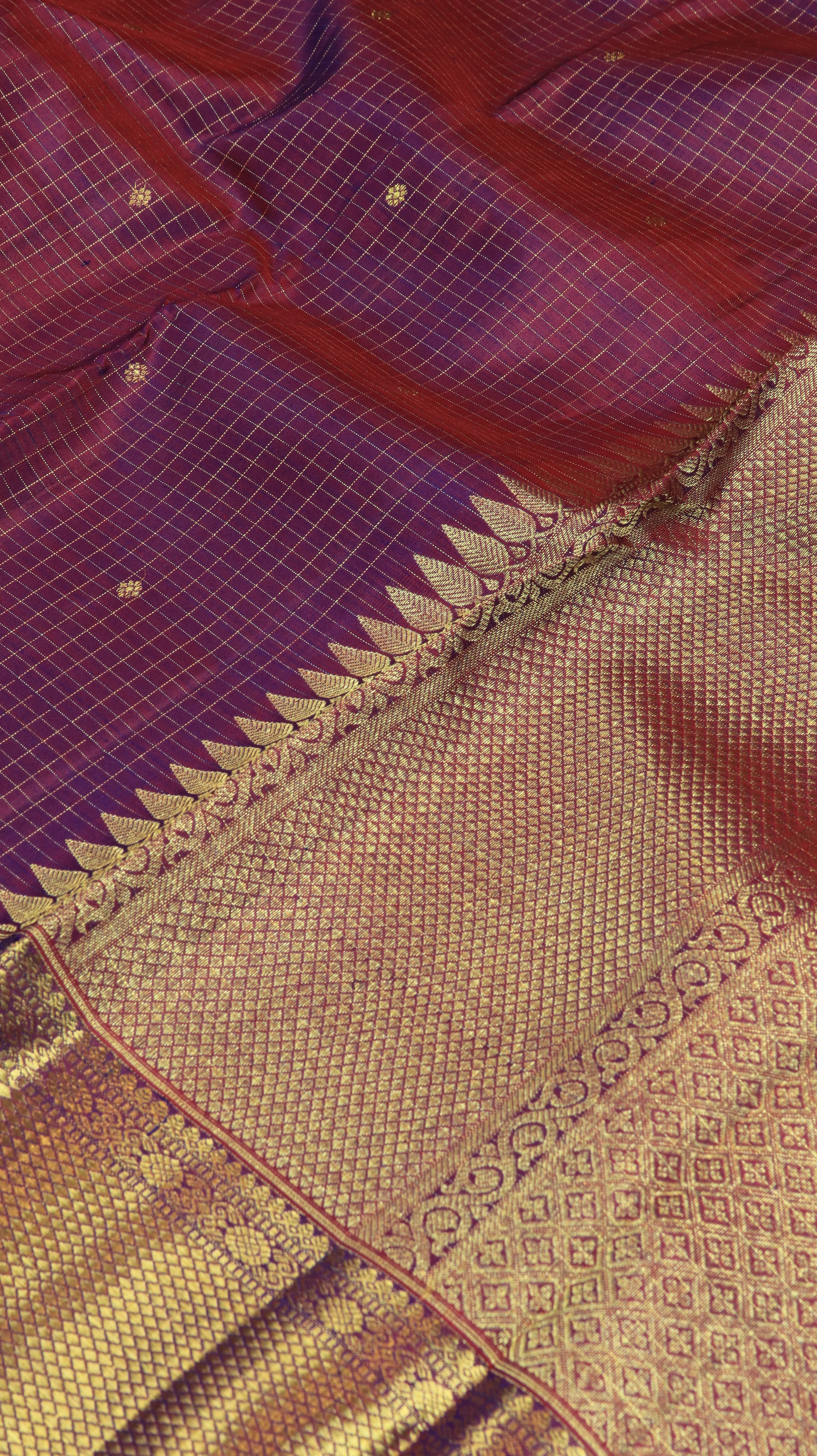 Aamodha | Kanjivaram