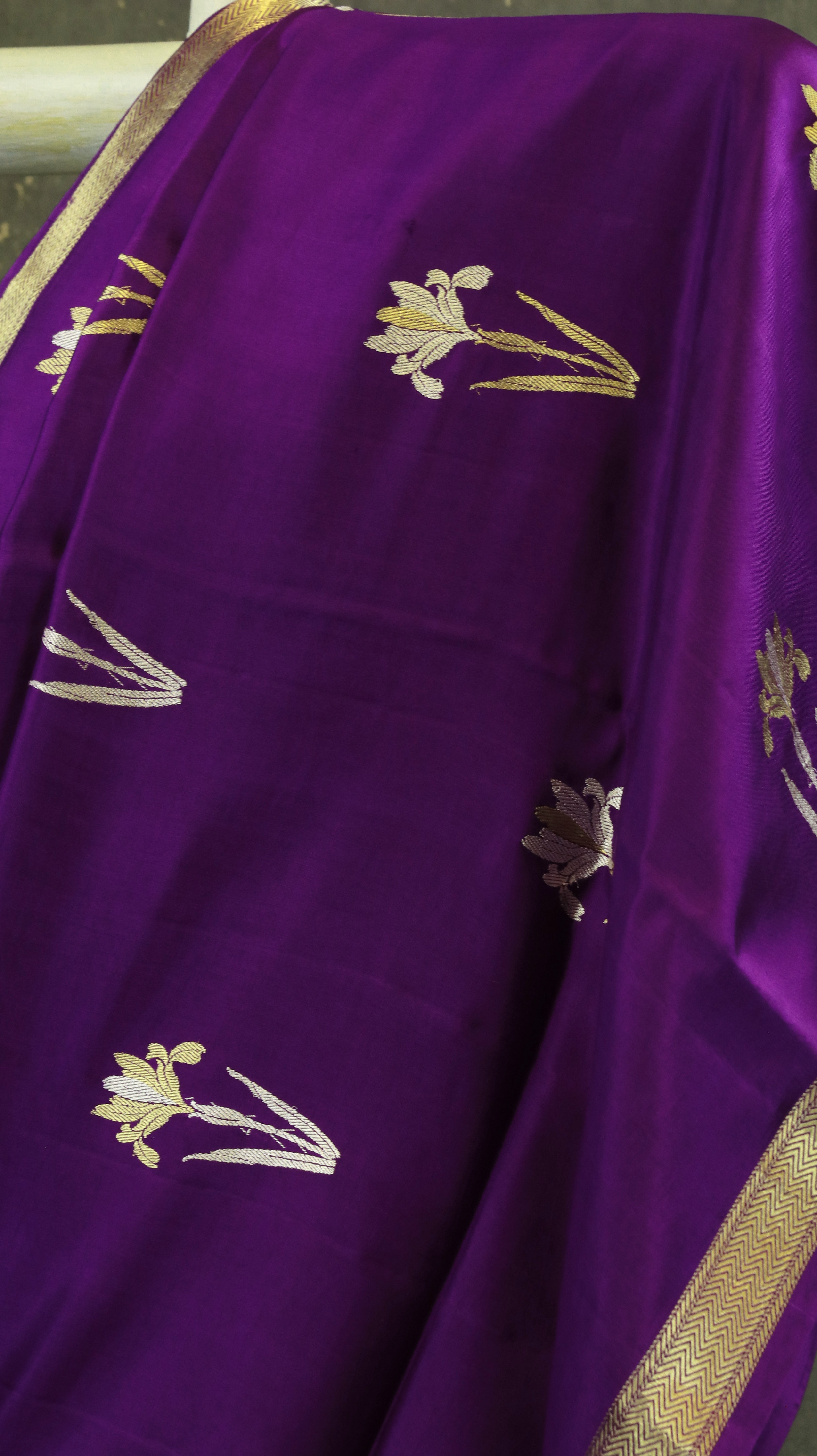 Royal Iris | Banarasi