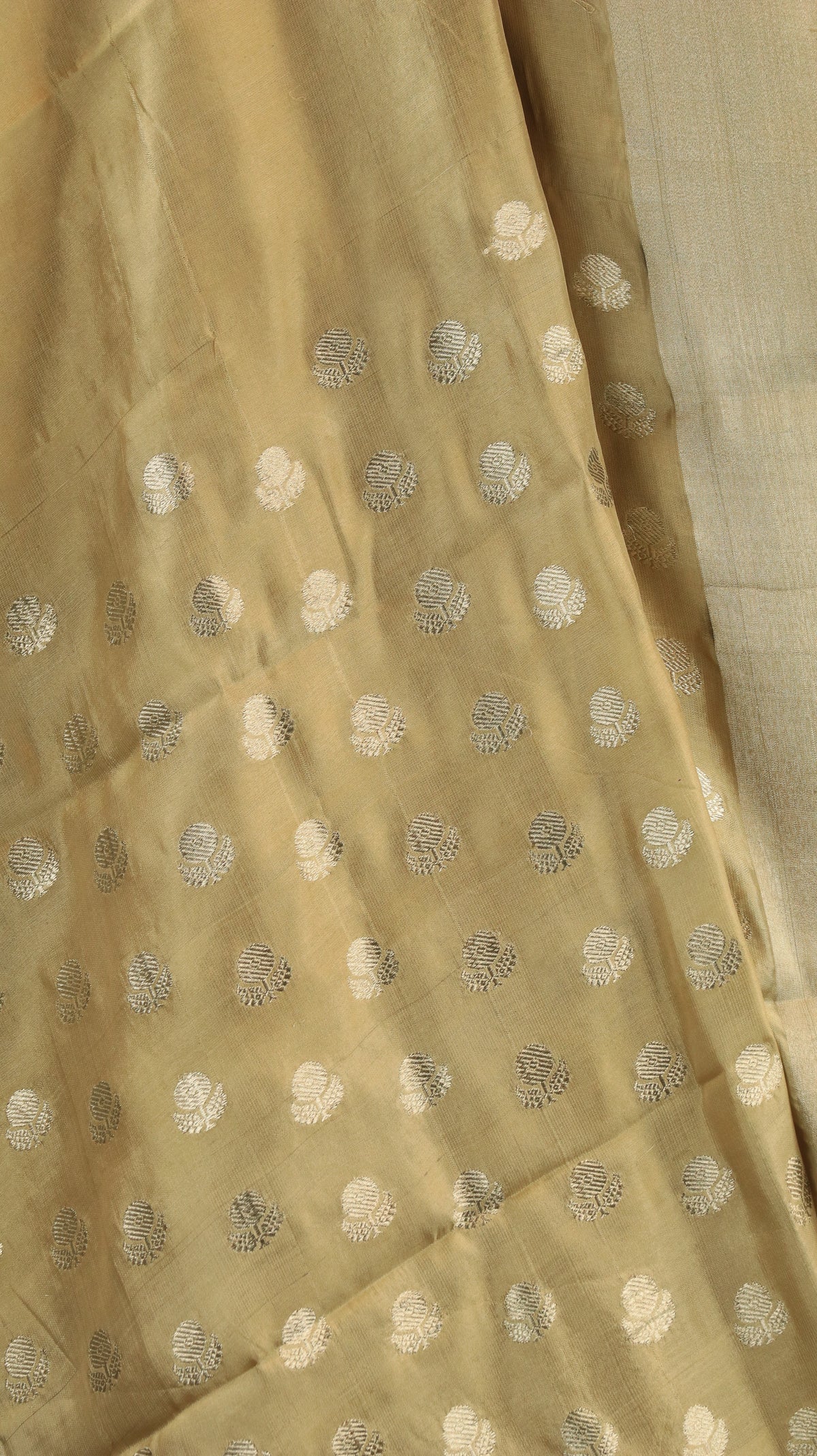 Varnisha | Chanderi