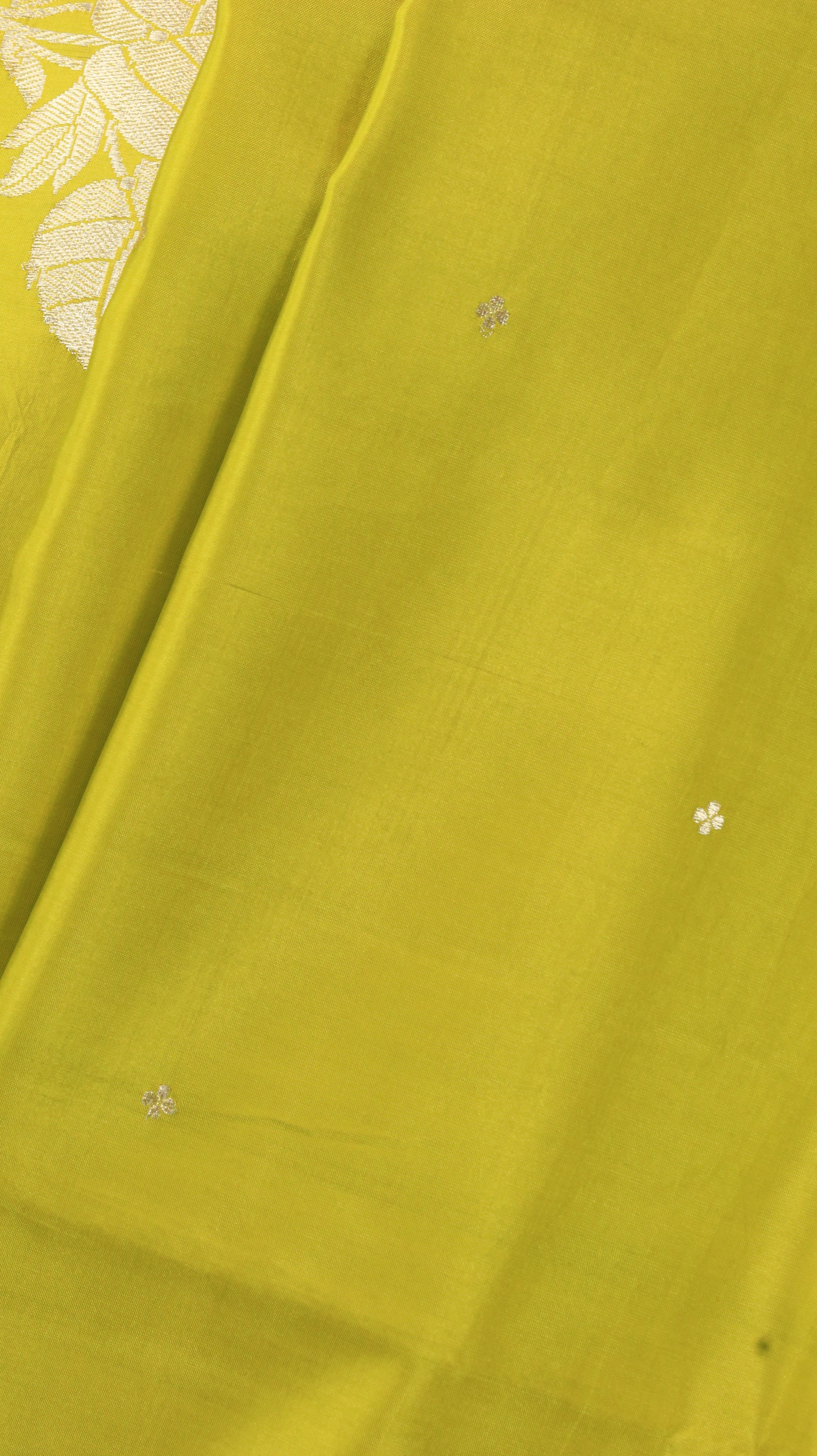 Golden Dawn | Banarasi