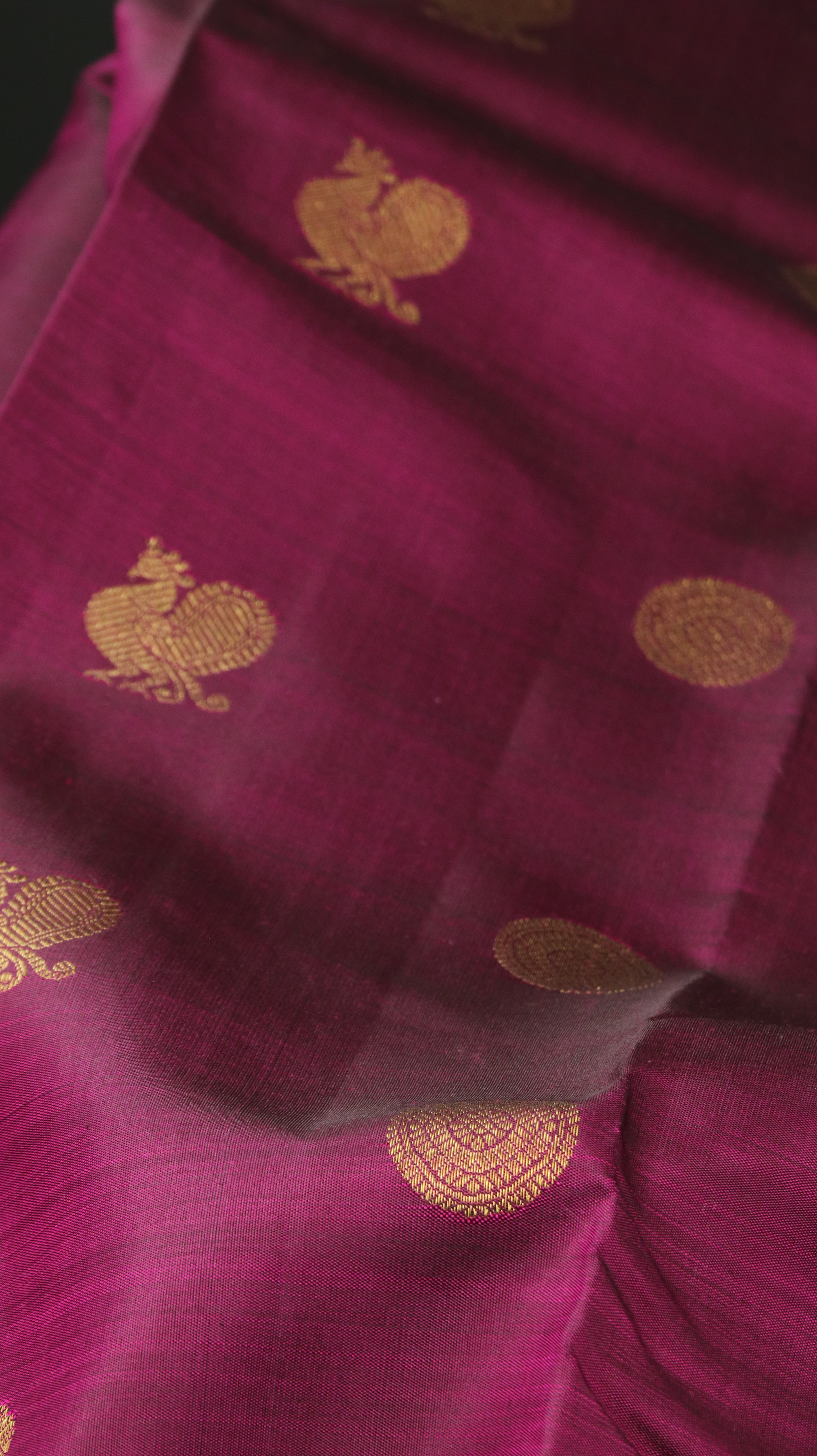 Peacock Plum | Kanjivaram