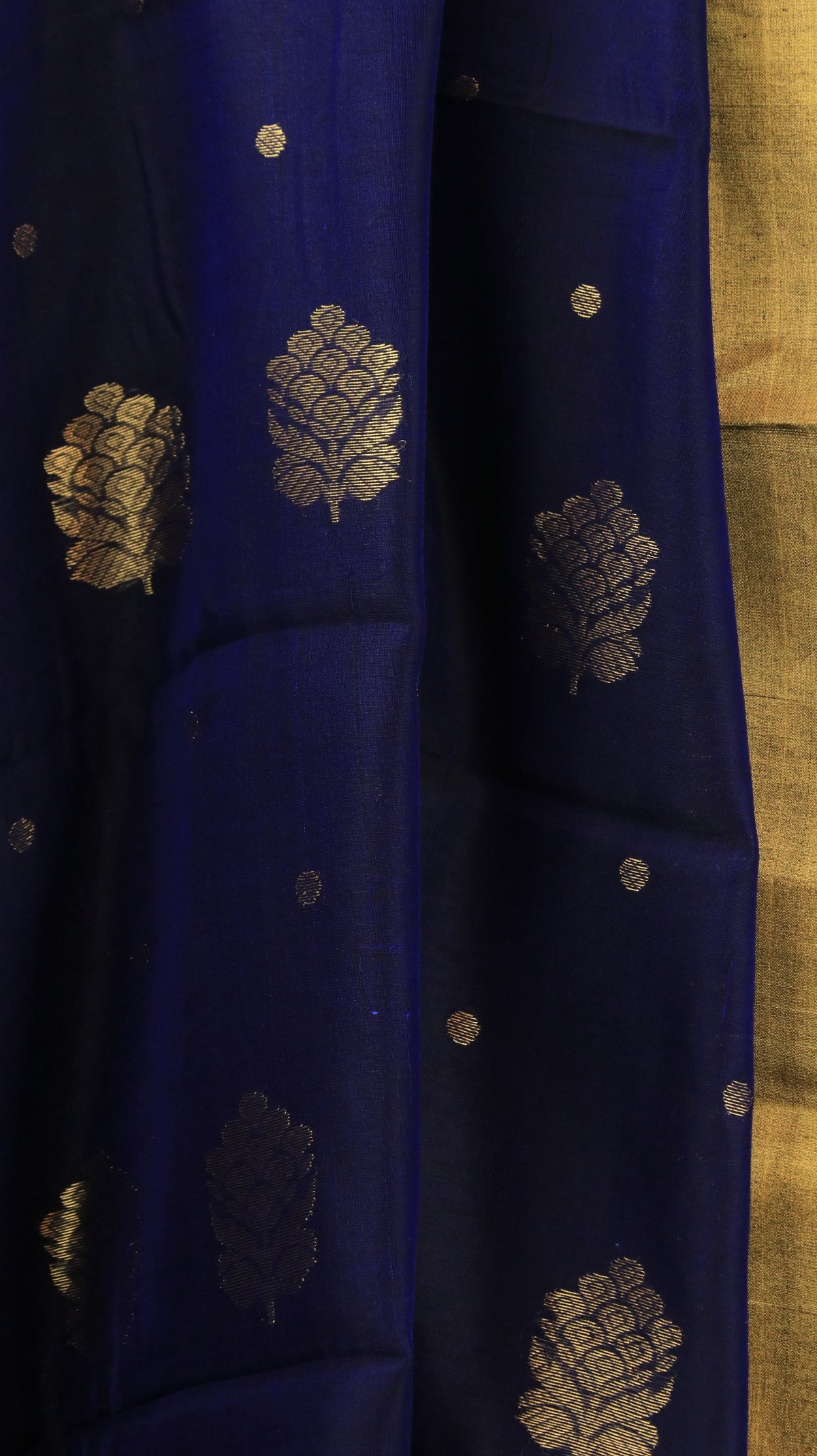 Taraneel | Chanderi