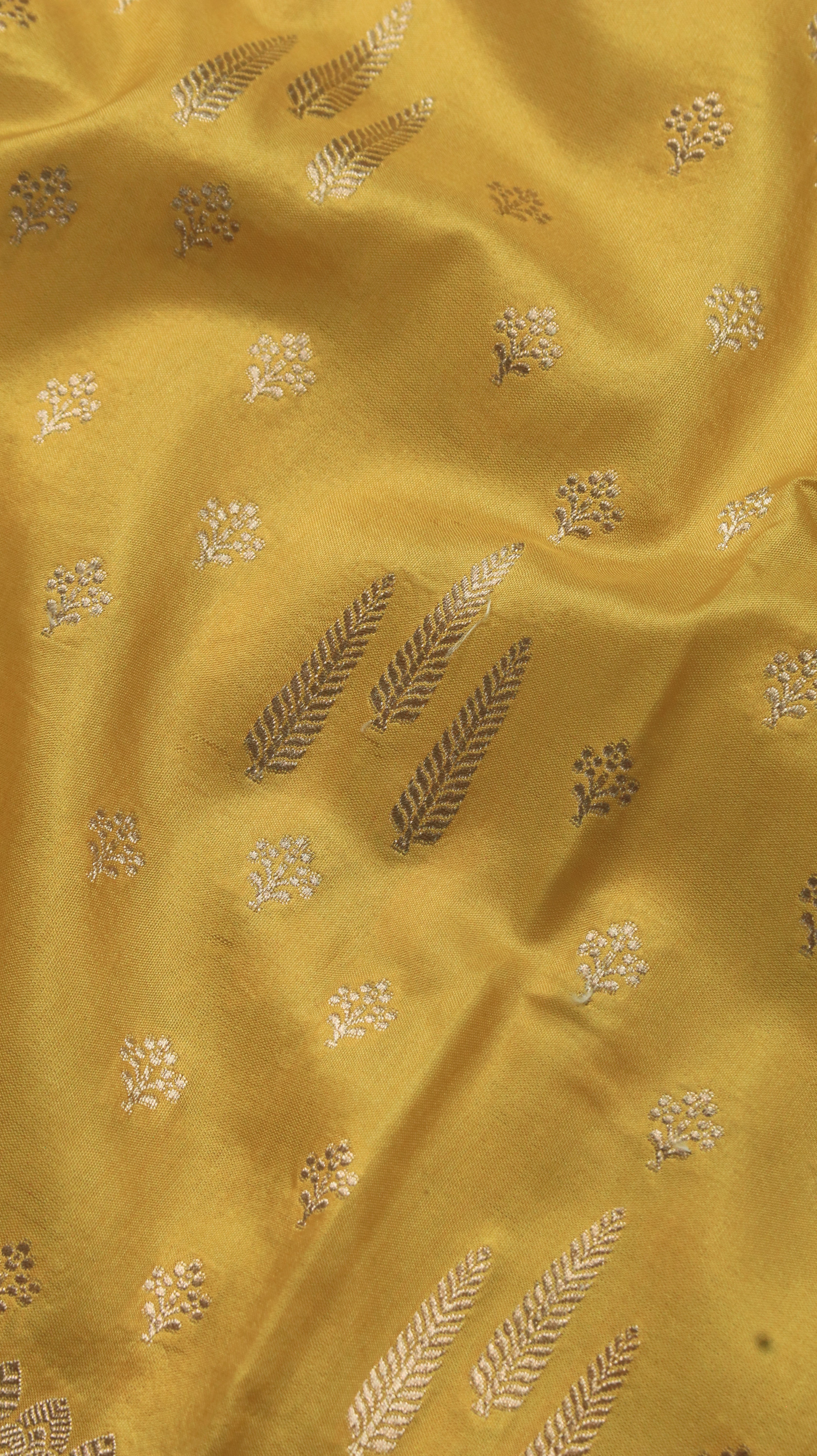 Sunlit Regalia | Banarasi