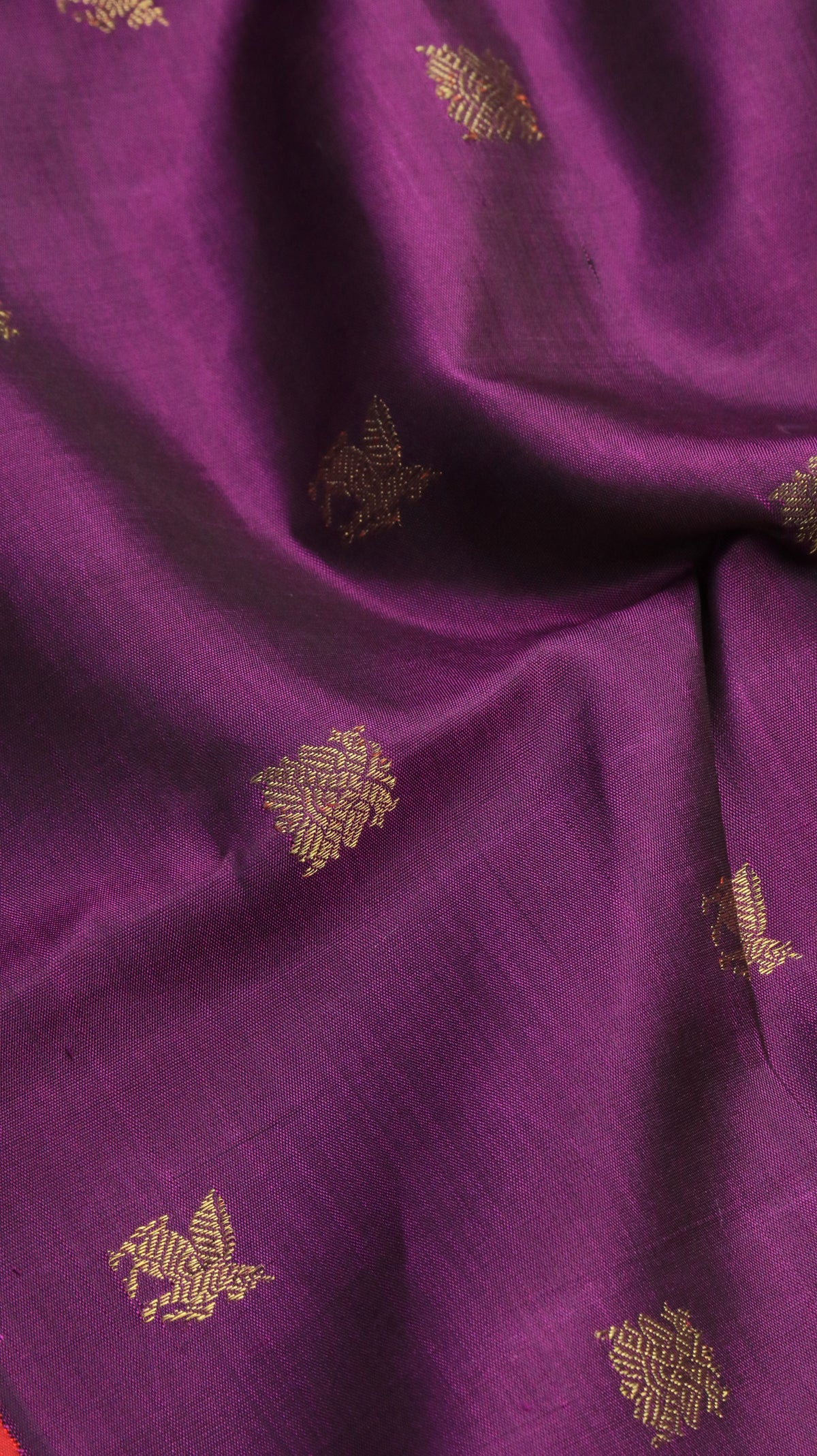 Kumudini | Kanjivaram