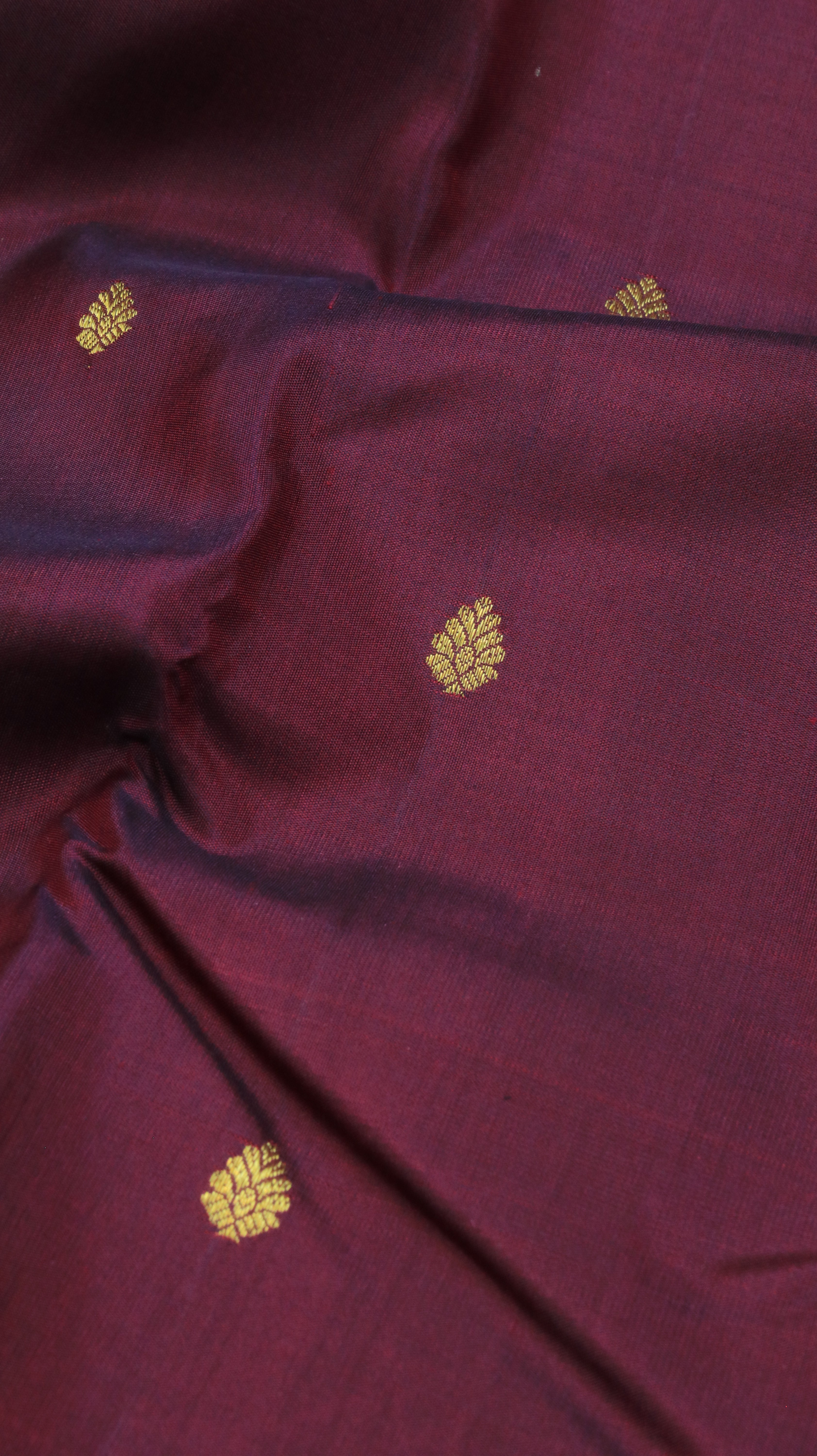 Manjari  | Kanjivaram