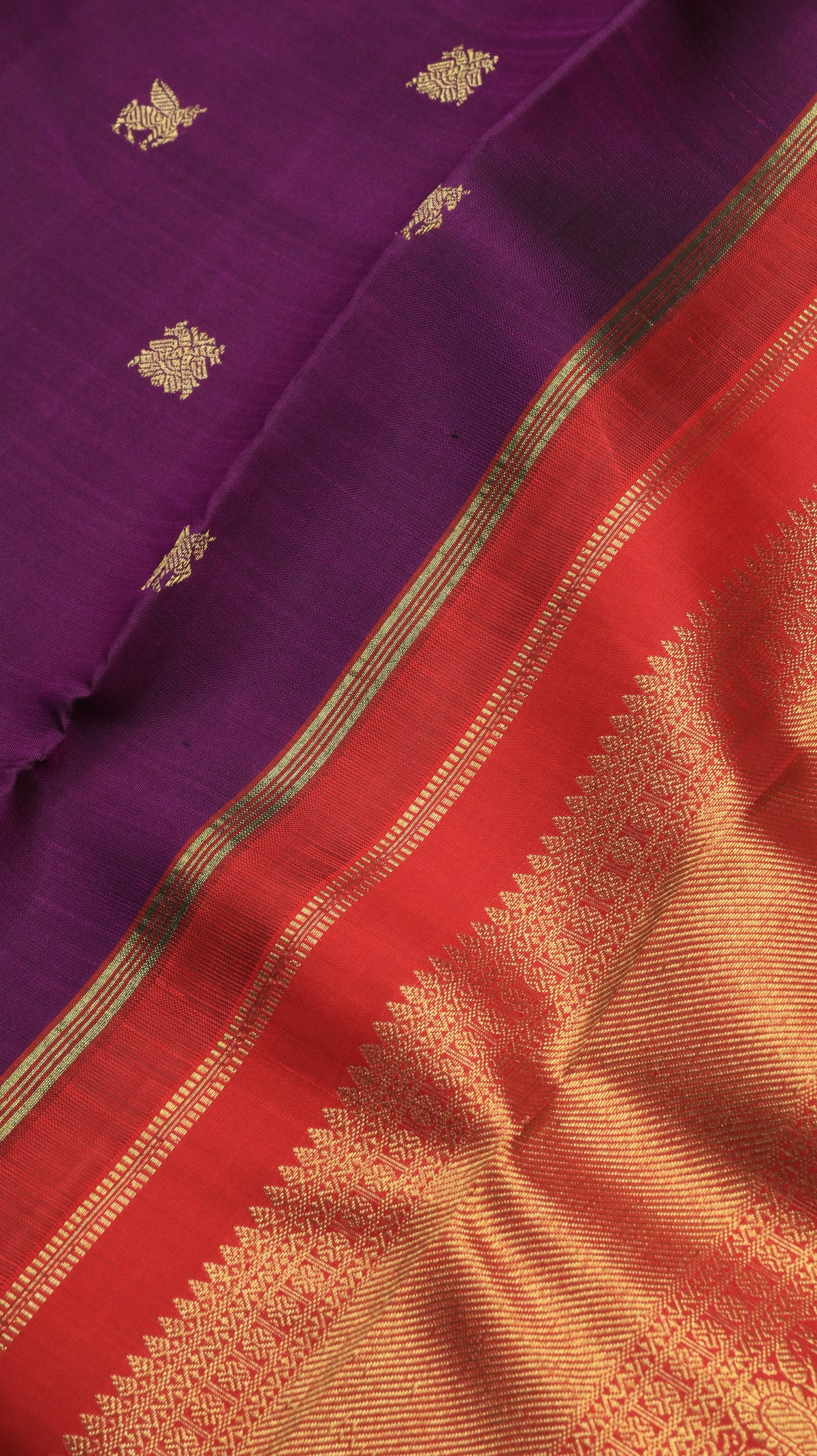 Kumudini | Kanjivaram