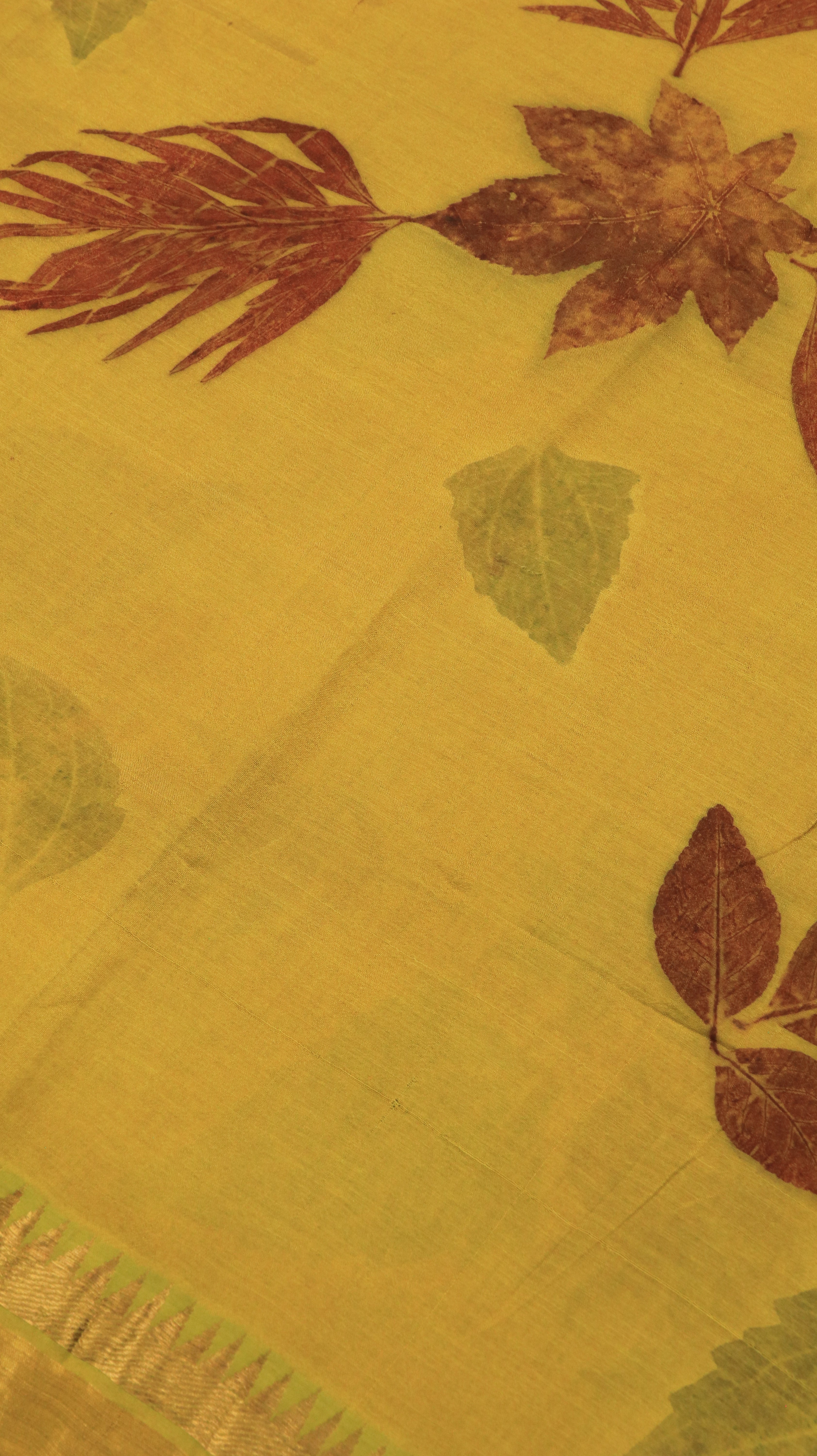 Parnika | Mangalagiri