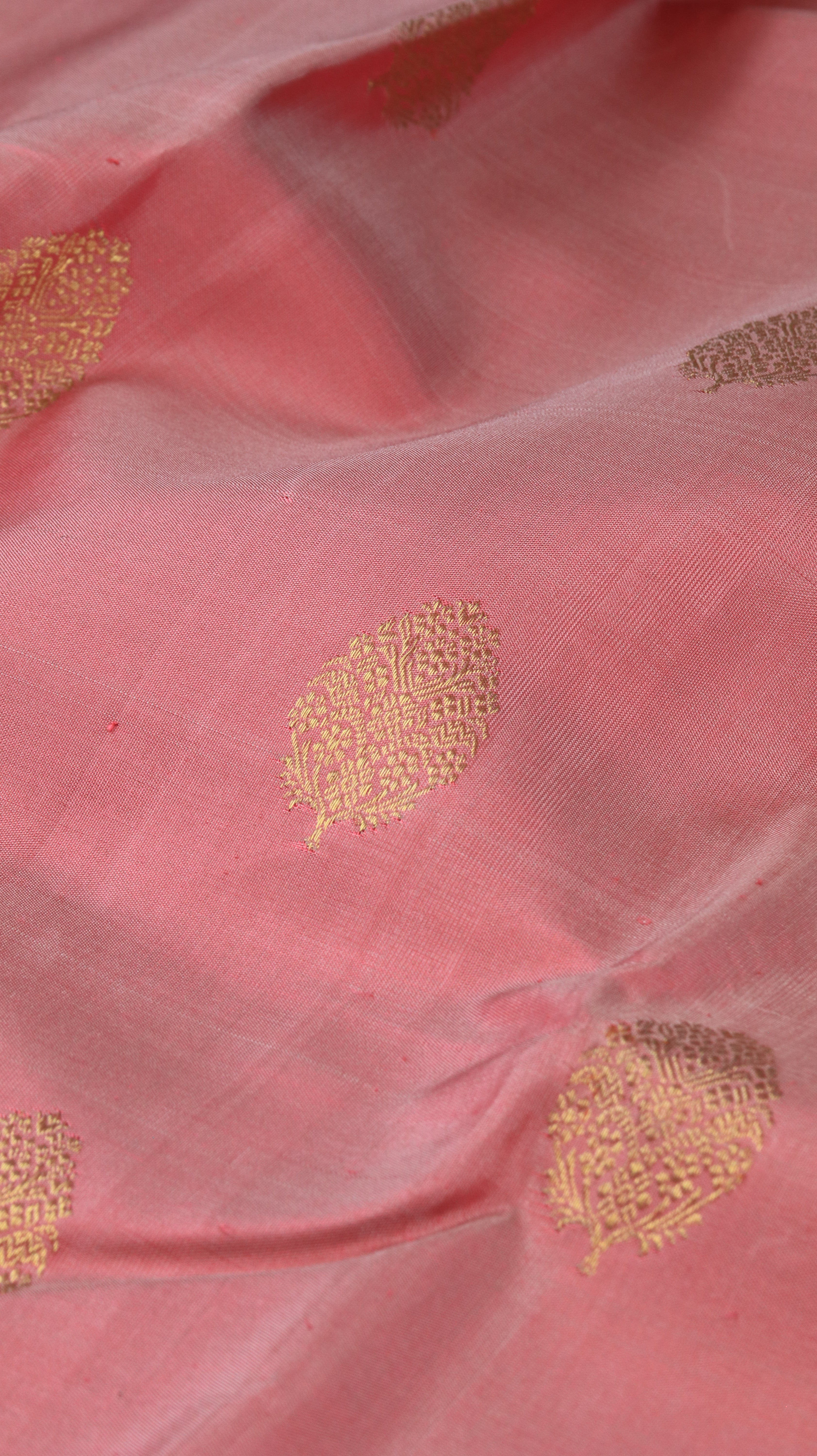 Padma Rekha | Kanjivaram