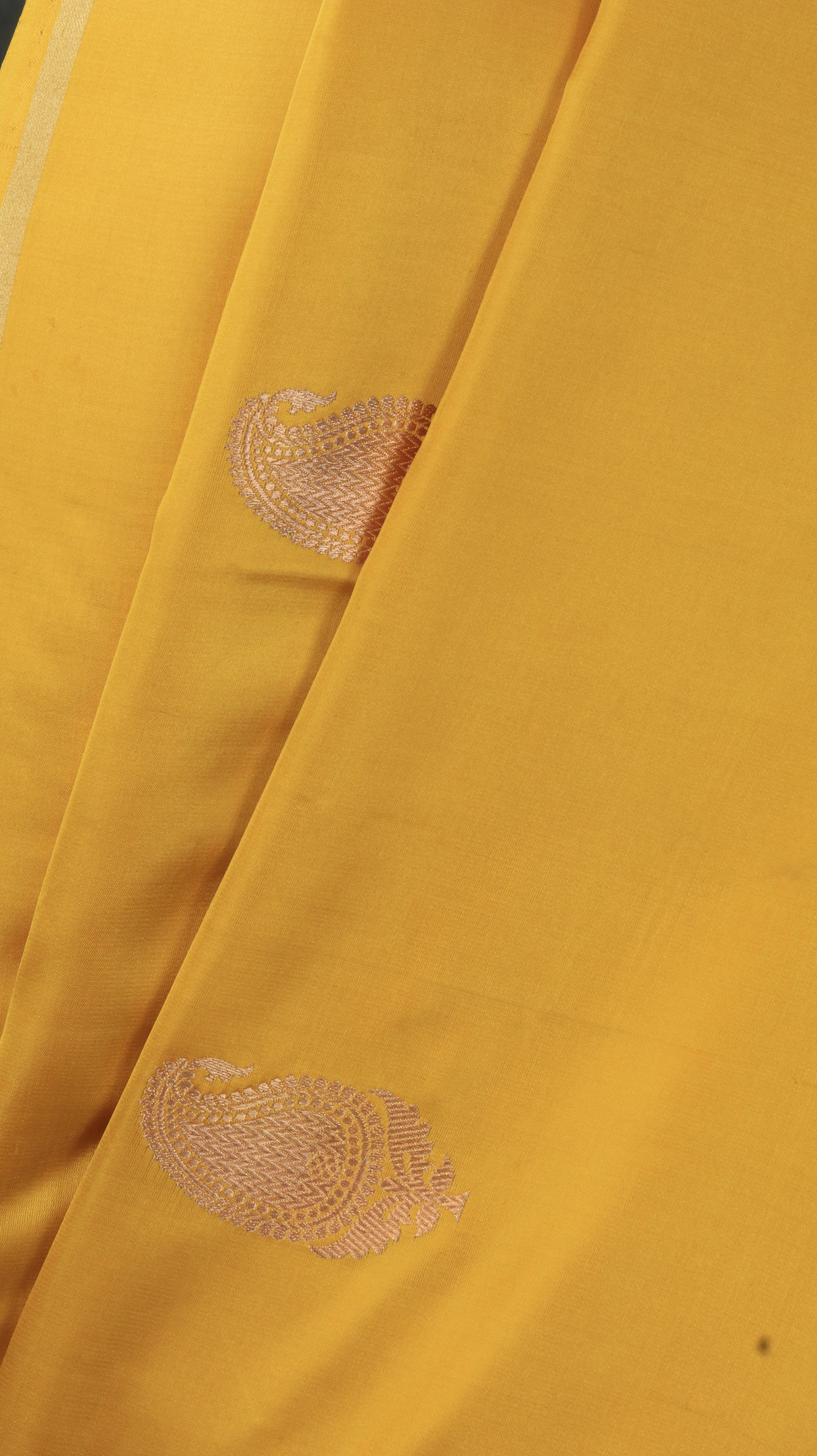 Harvest Glow | Banarasi