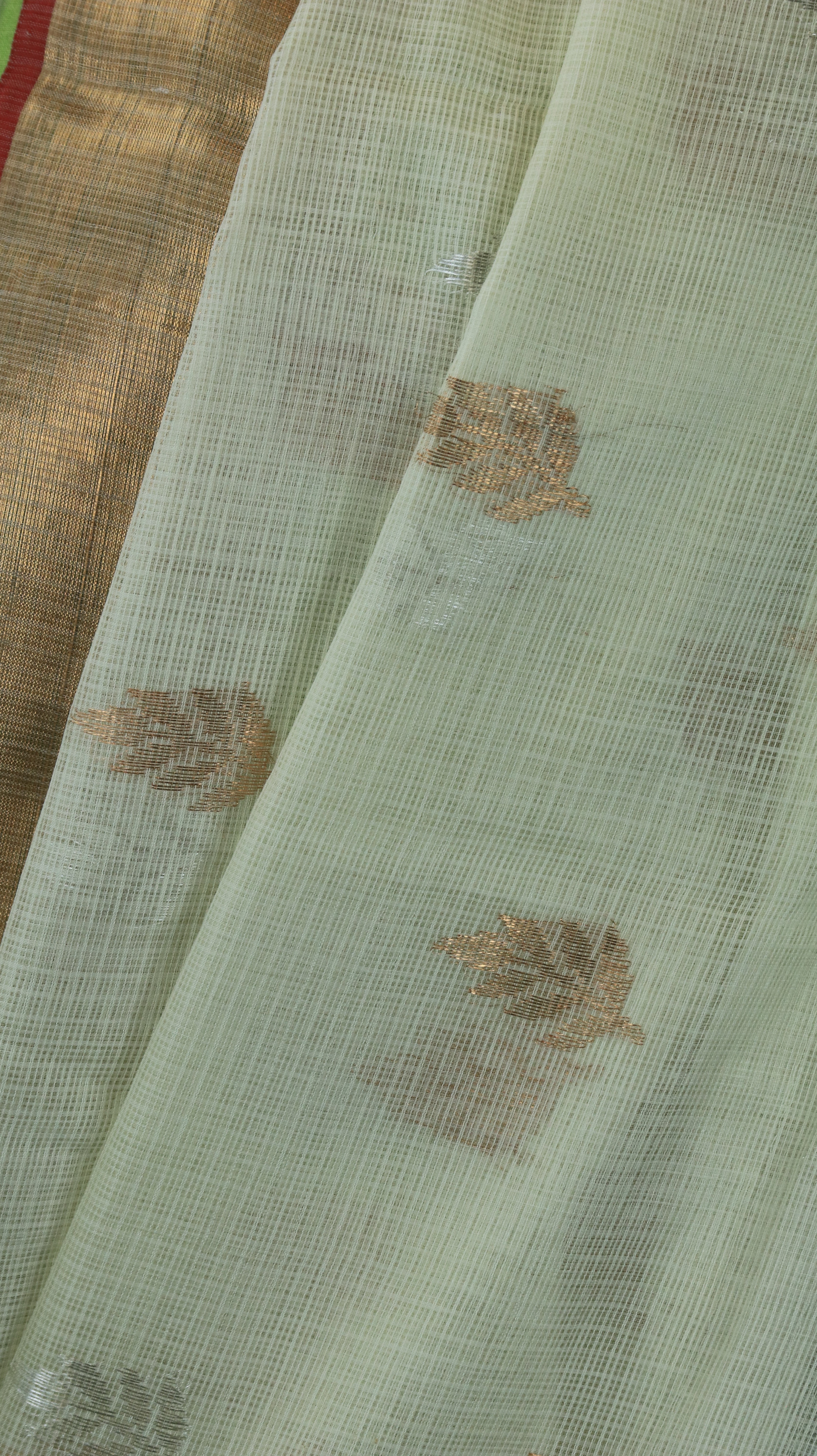 Neeraja | Zari Kota
