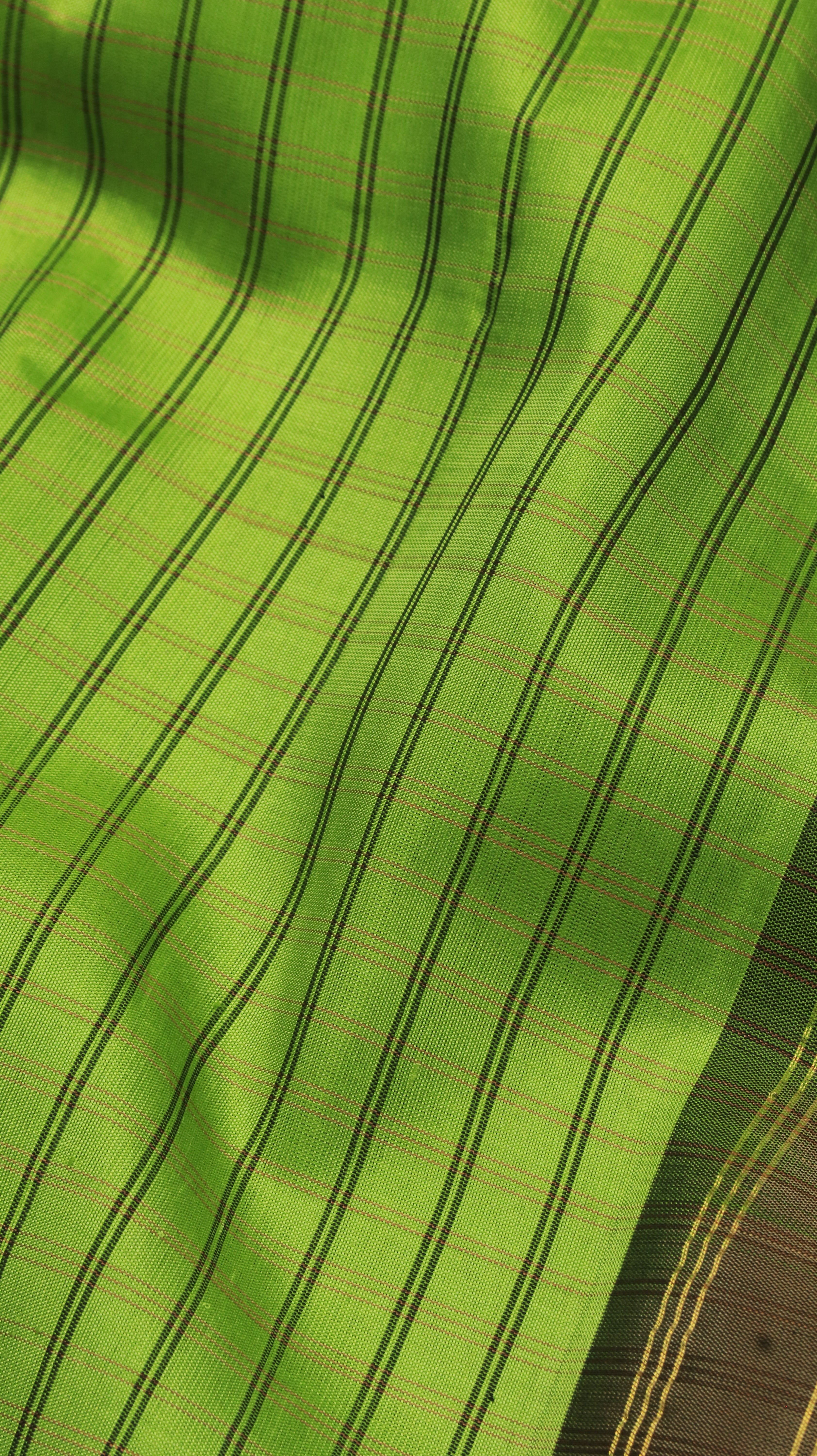 Pistachio Radiance | Gadwal