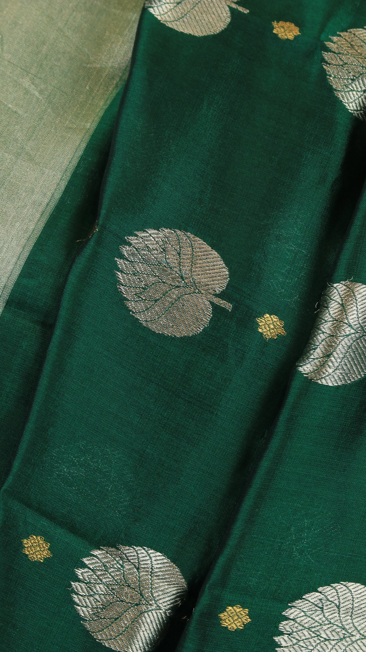 Vanya | Chanderi