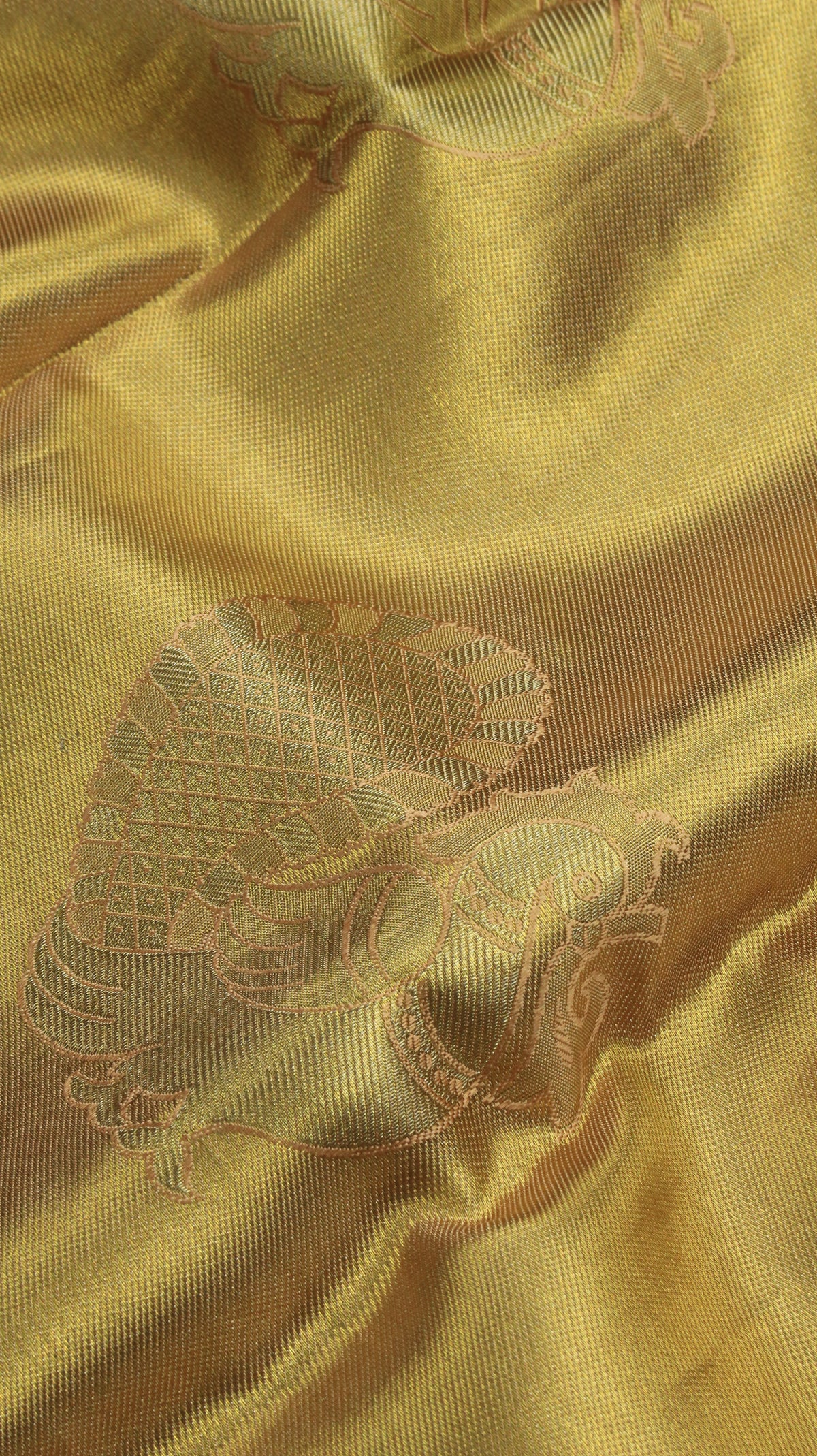 Swarna-Mayuri | Kanjivaram