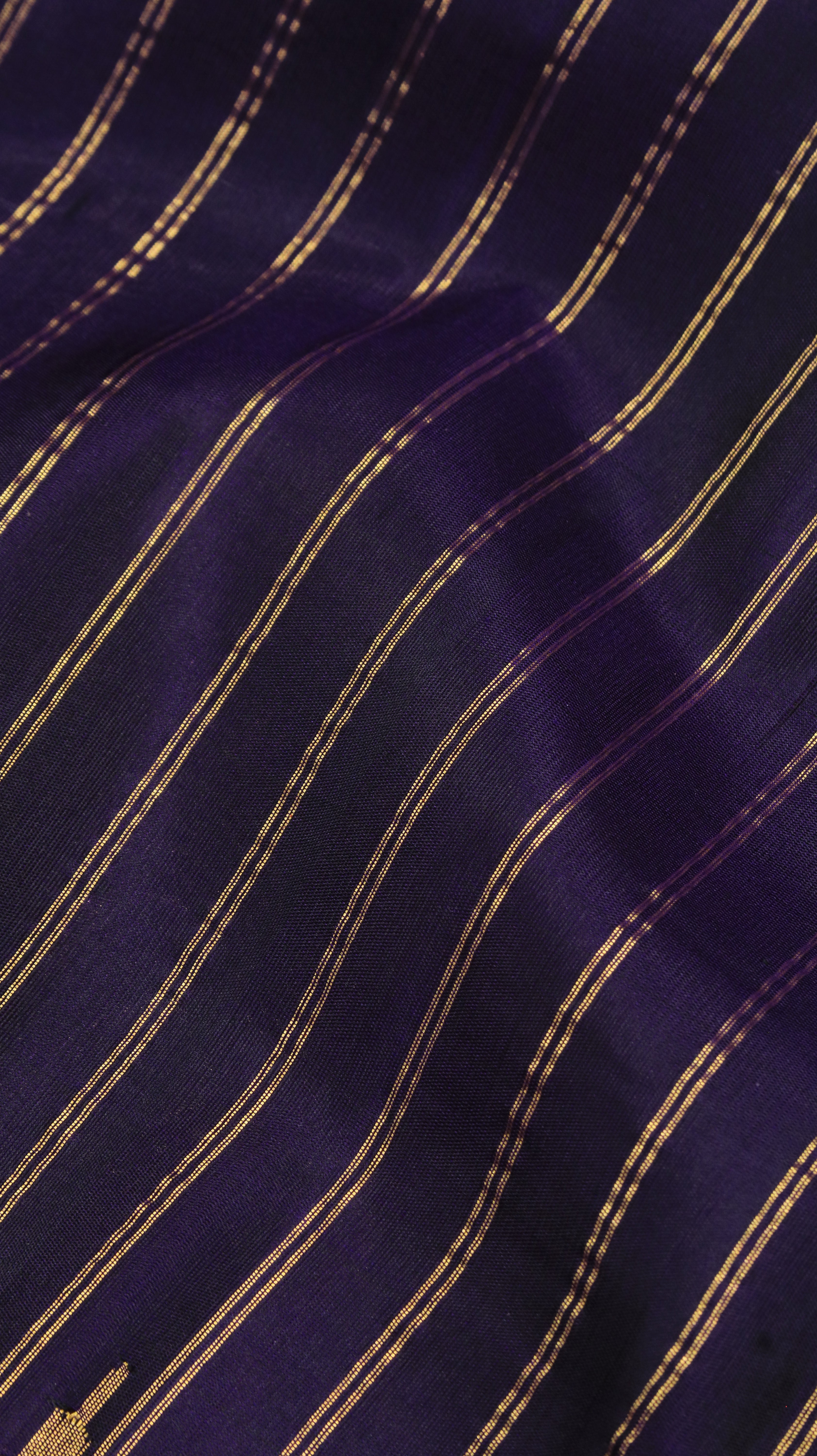 Aster Midnight | Gadwal