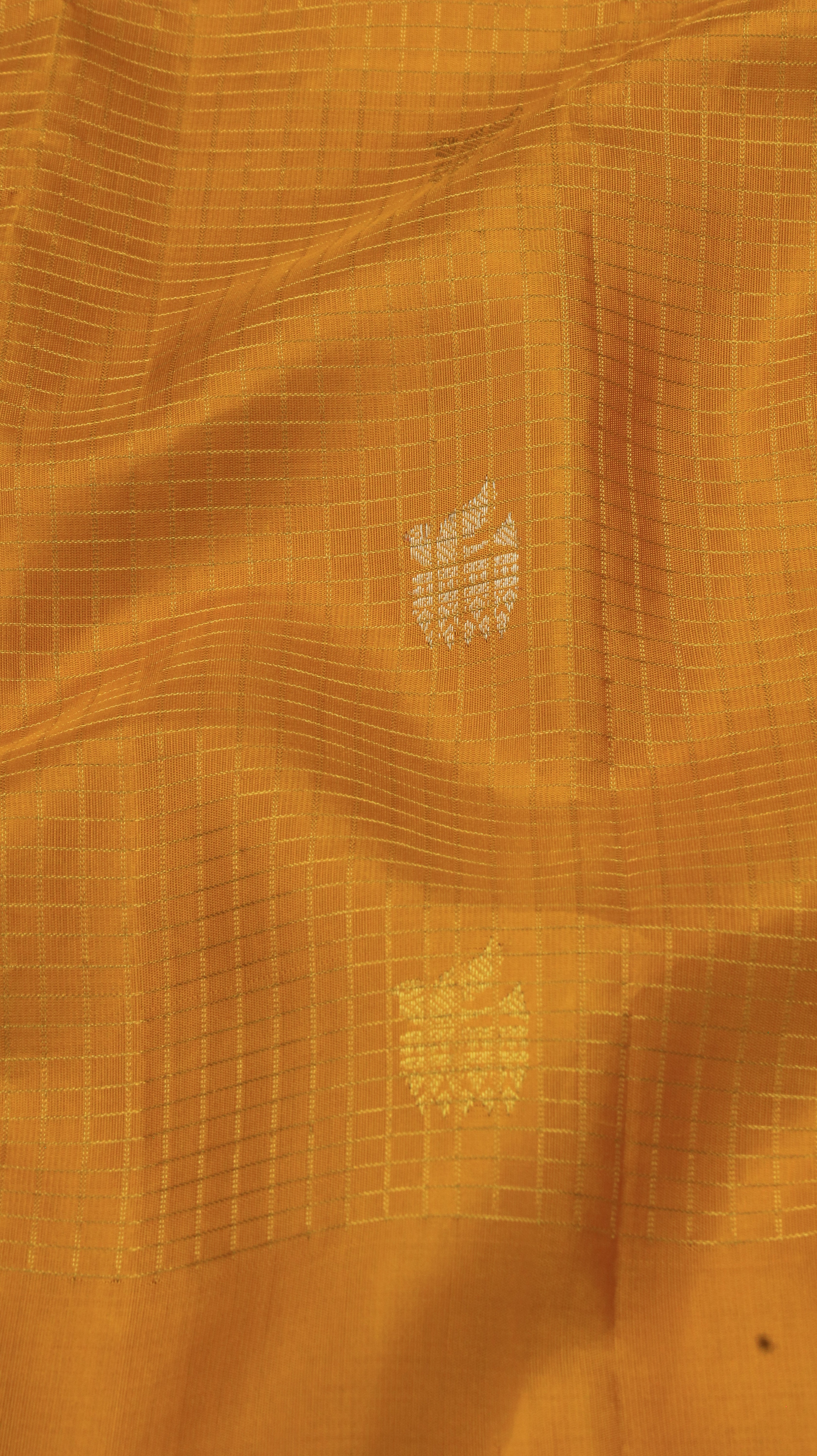 Golden Marigold | Gadwal