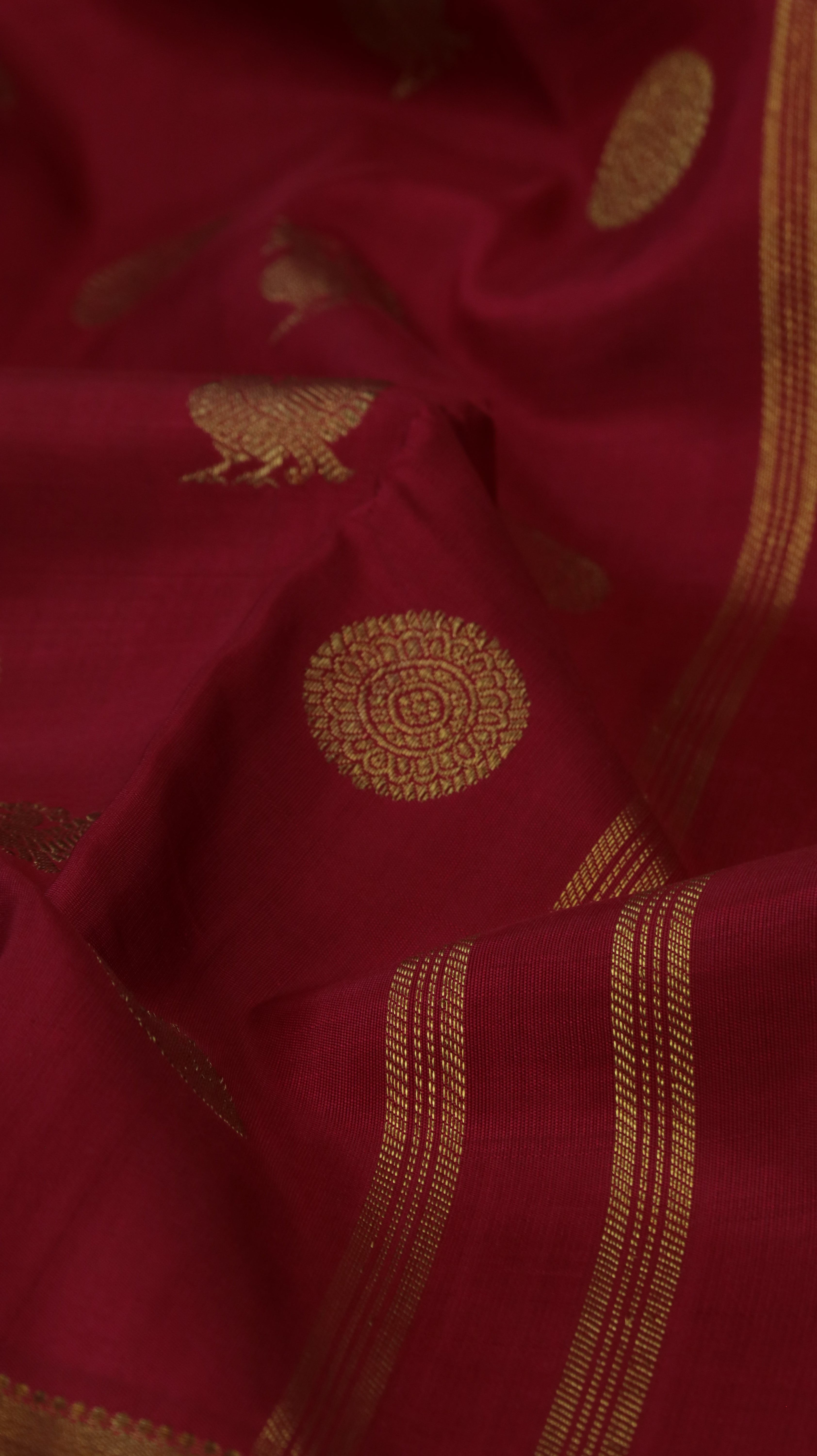 Roop amrutha |  Kanjivaram