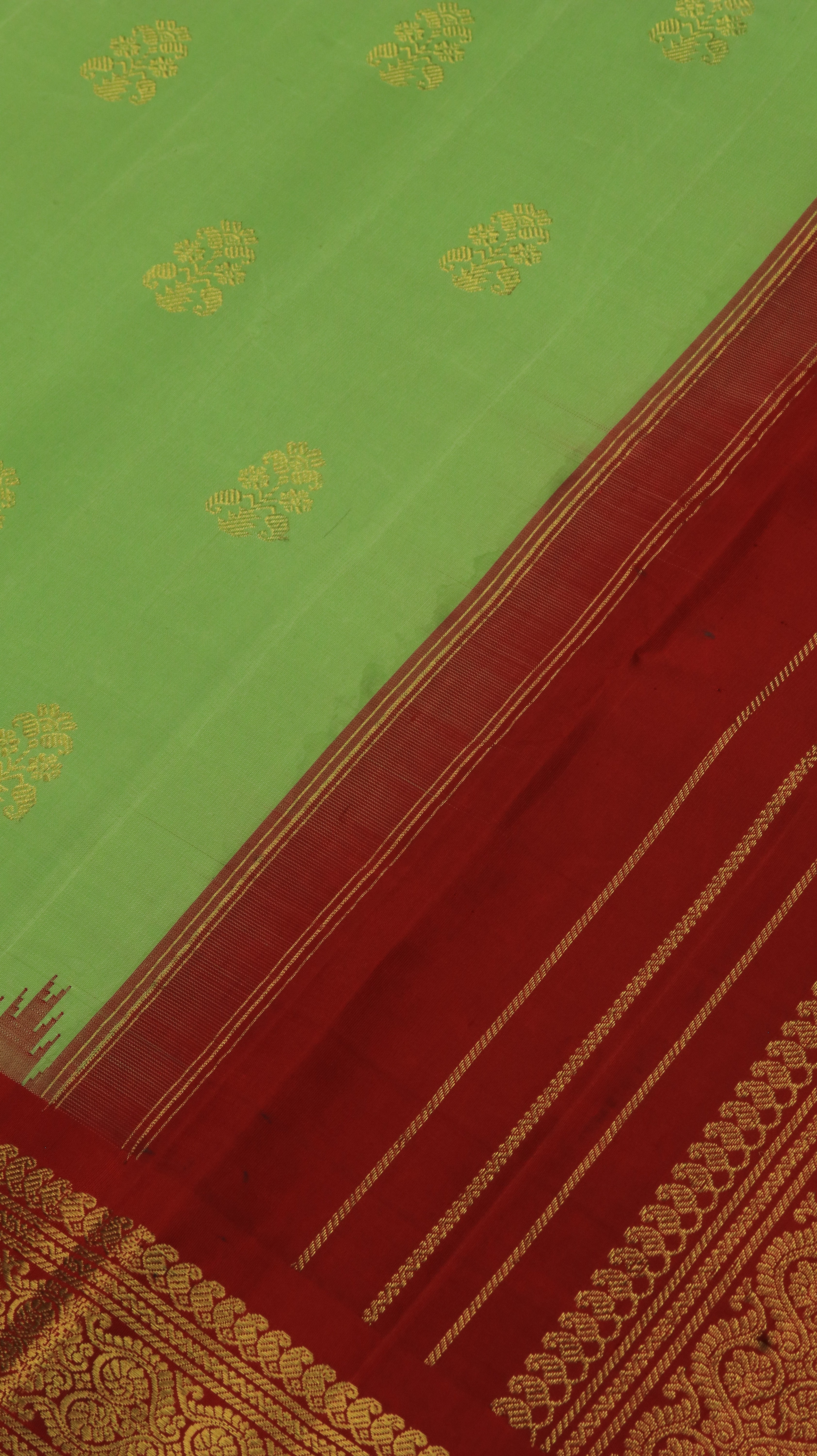 Green Symphony | Gadwal