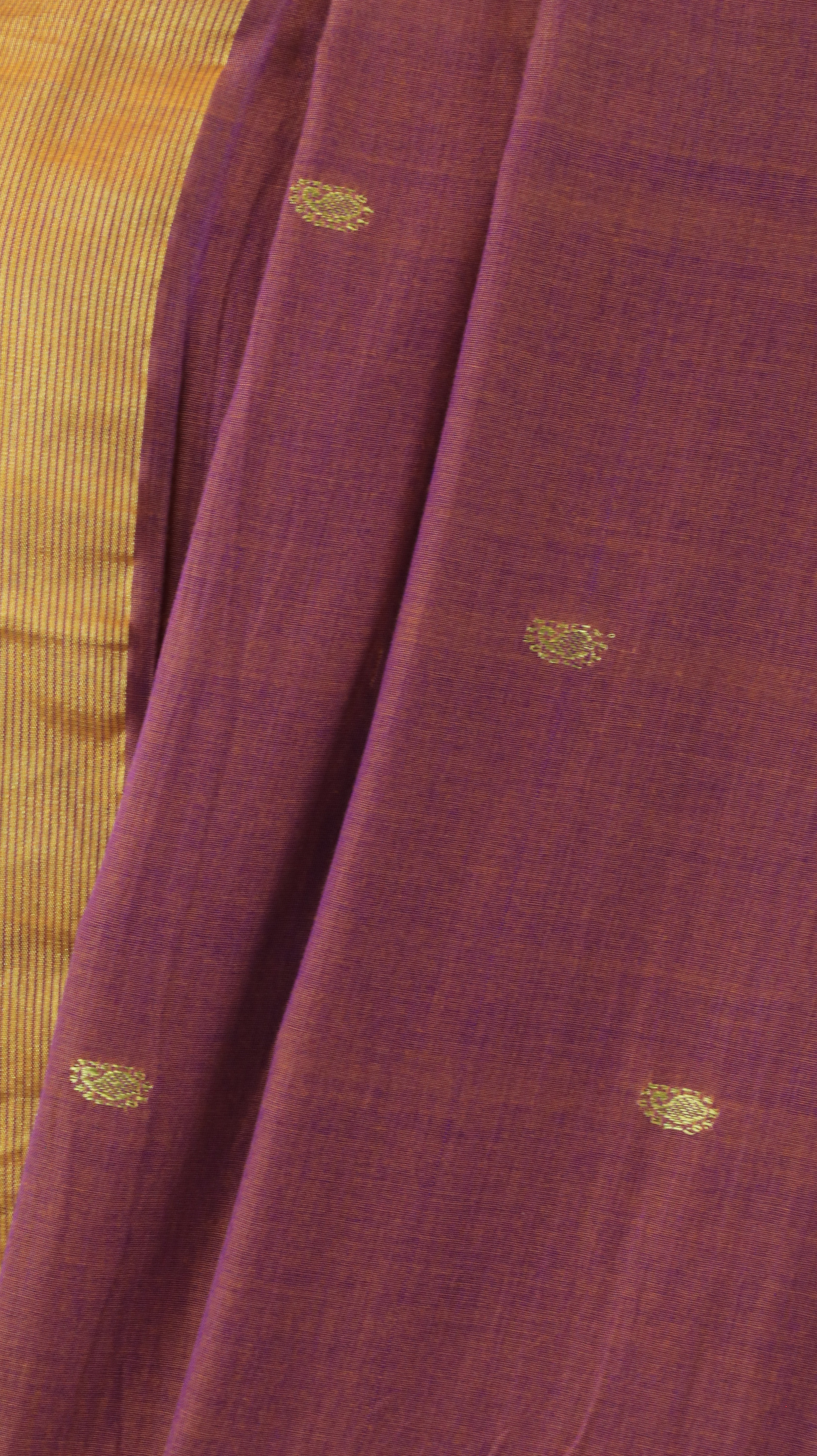 Gilded Grape | Paithani