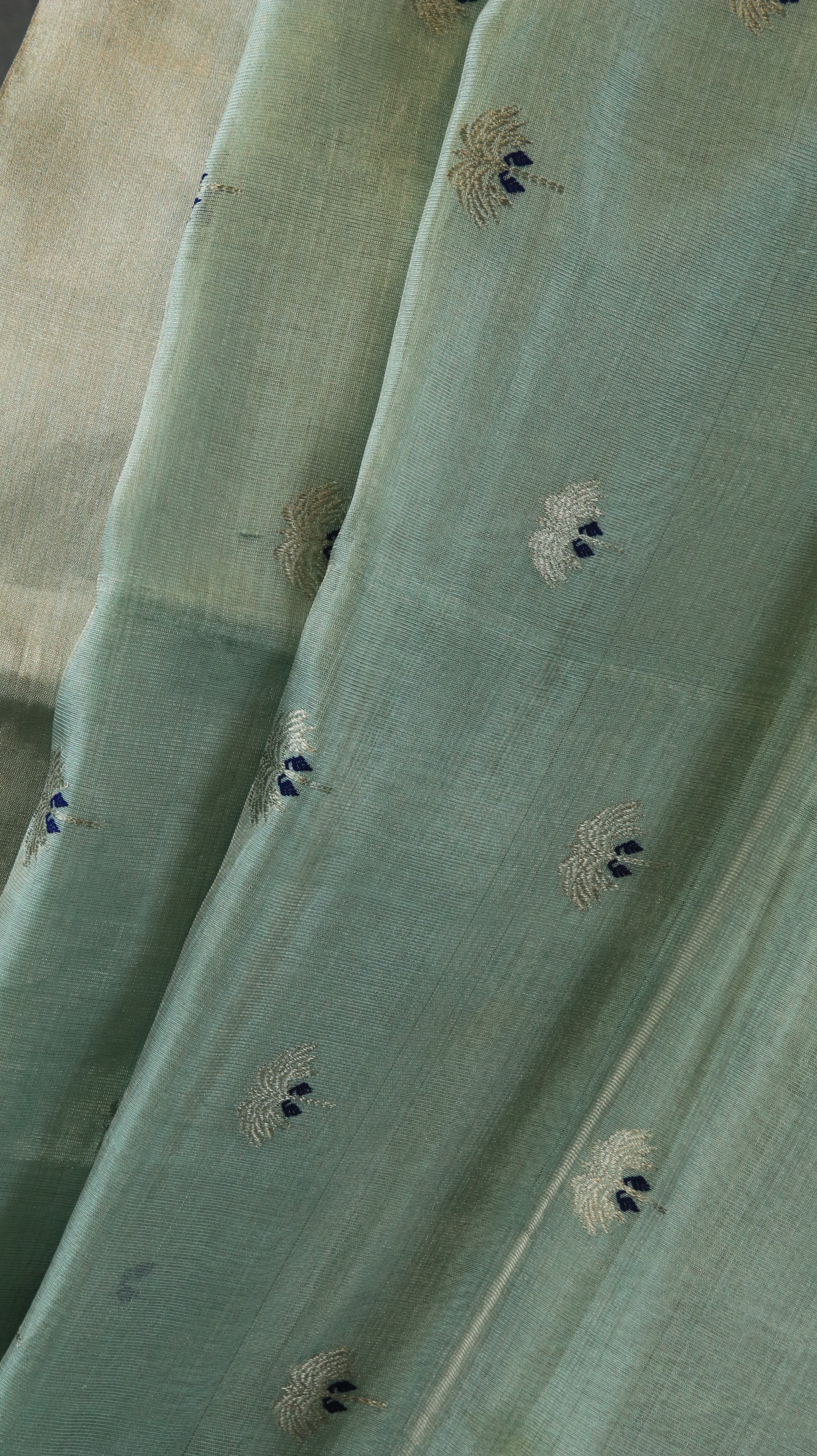Mridula | Chanderi
