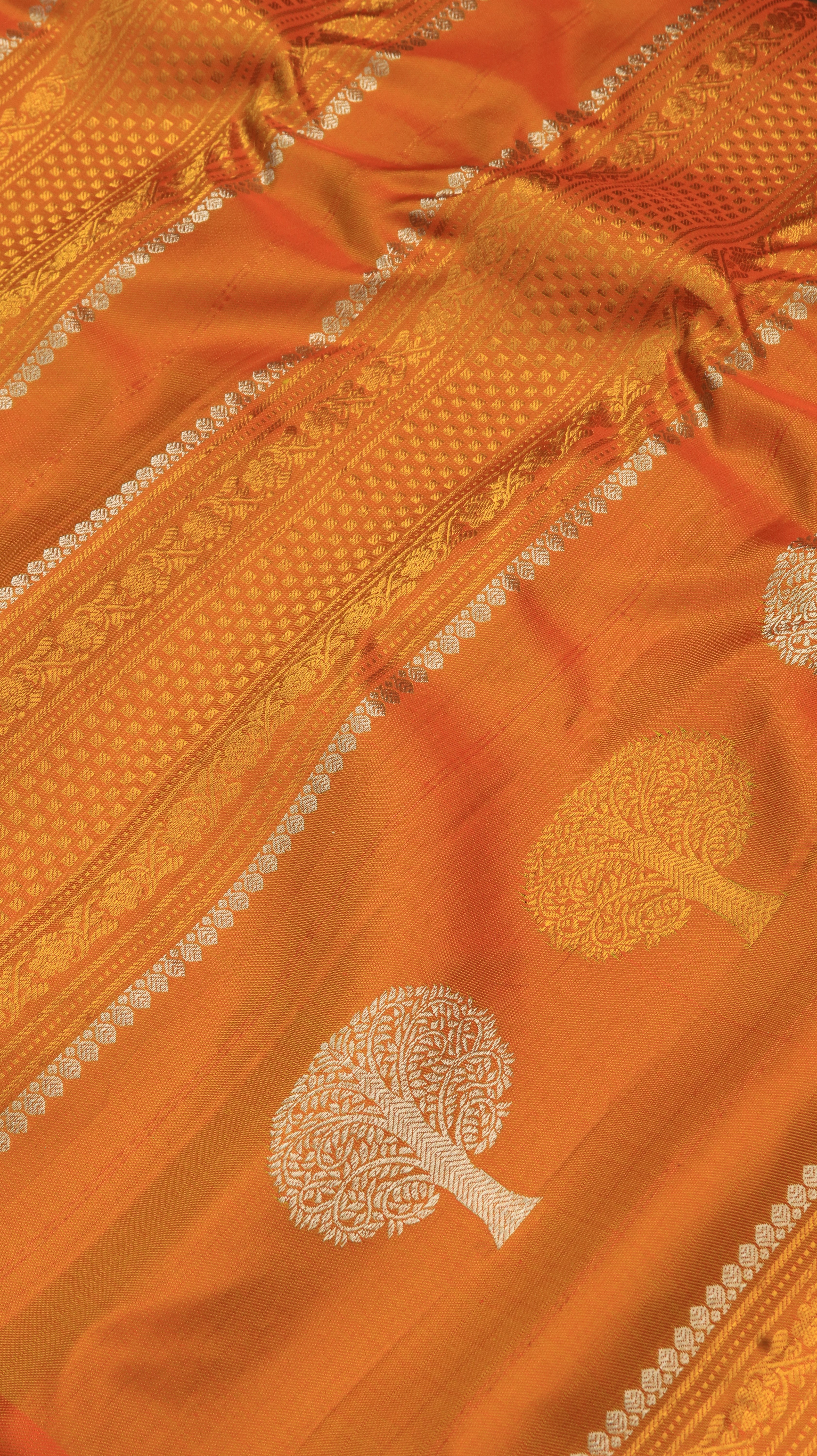 Sunlit Heritage | Gadwal