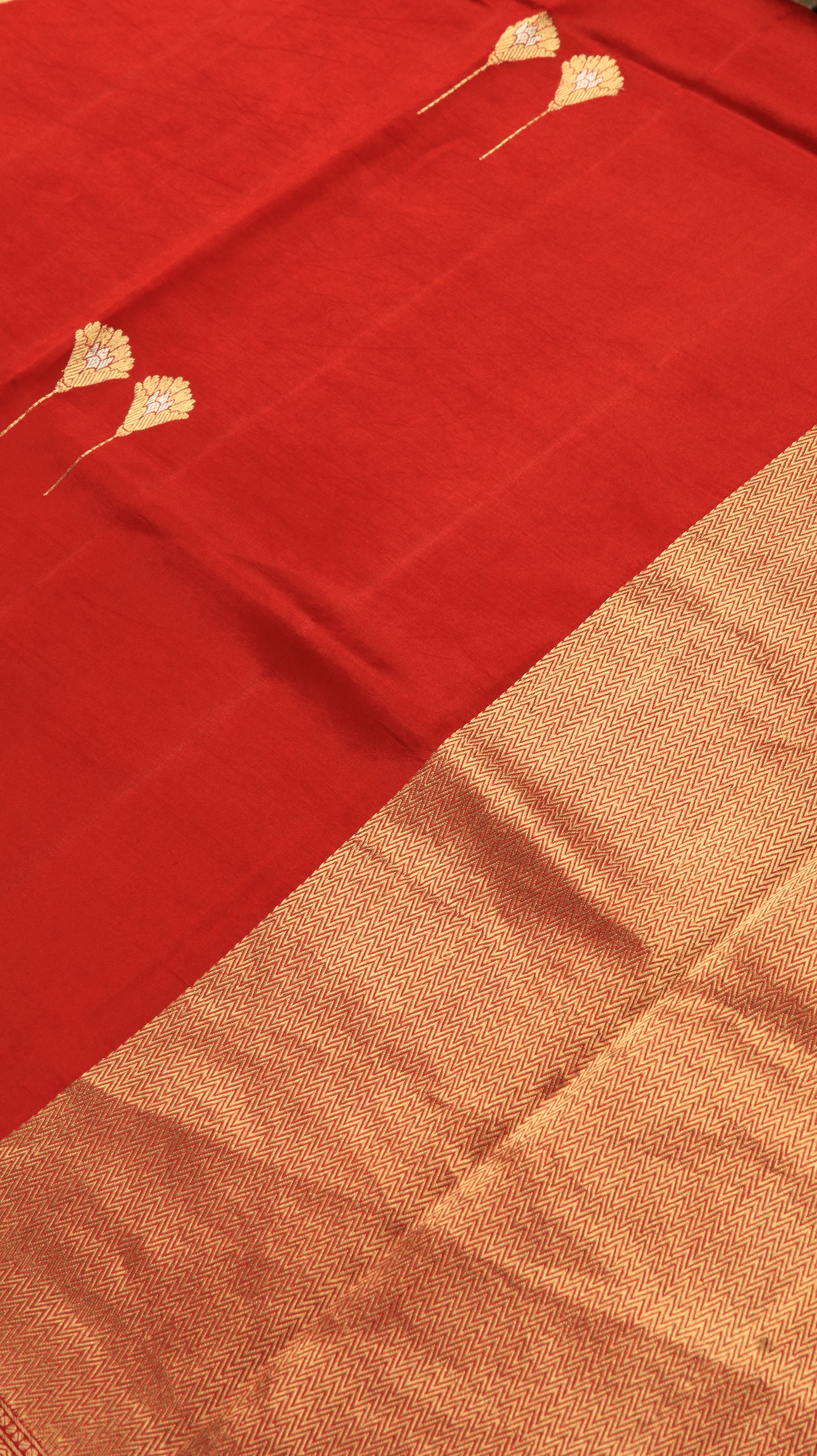 Red Opulence | Banarasi