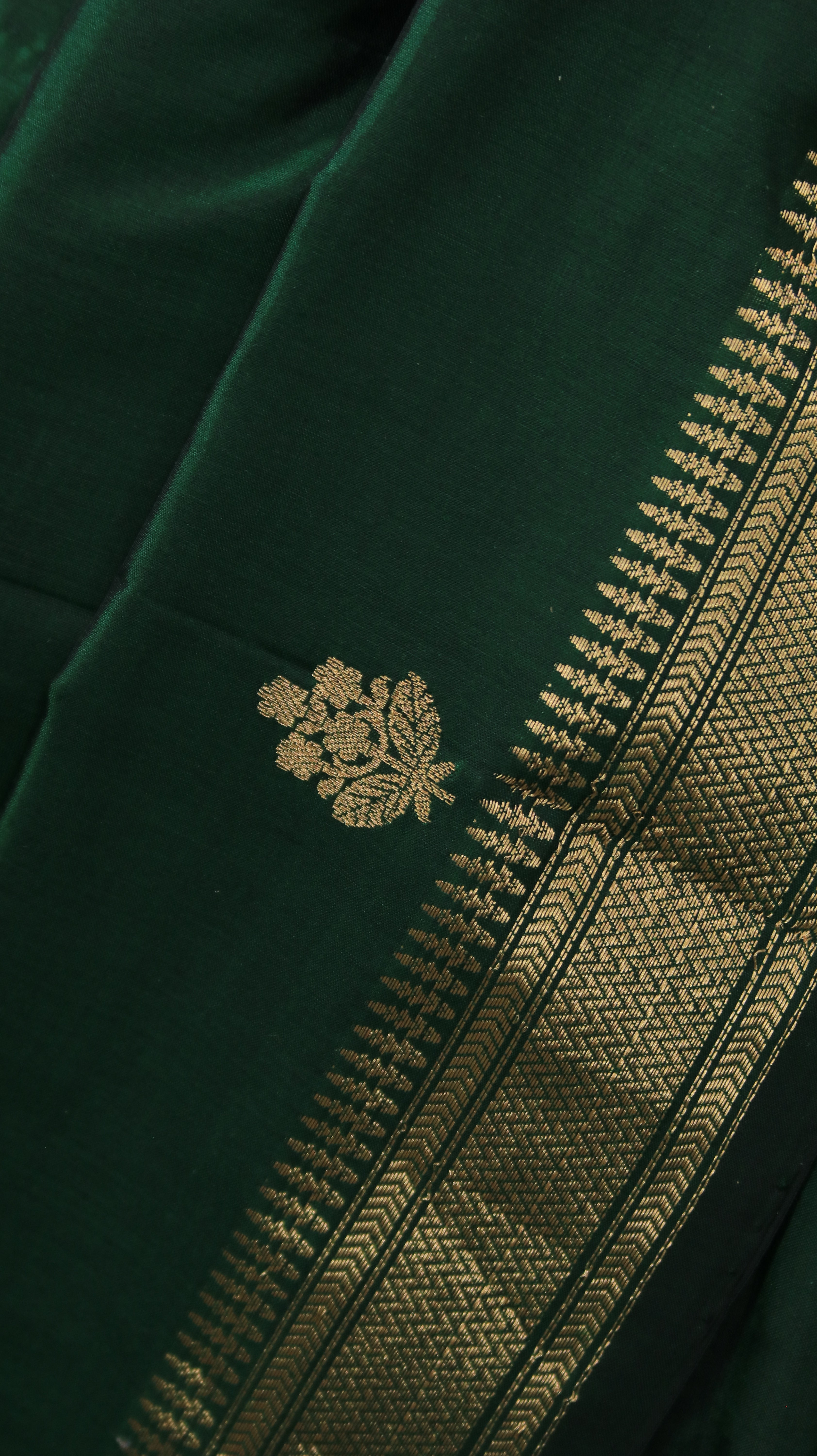 Evergreen Opus | Banarasi