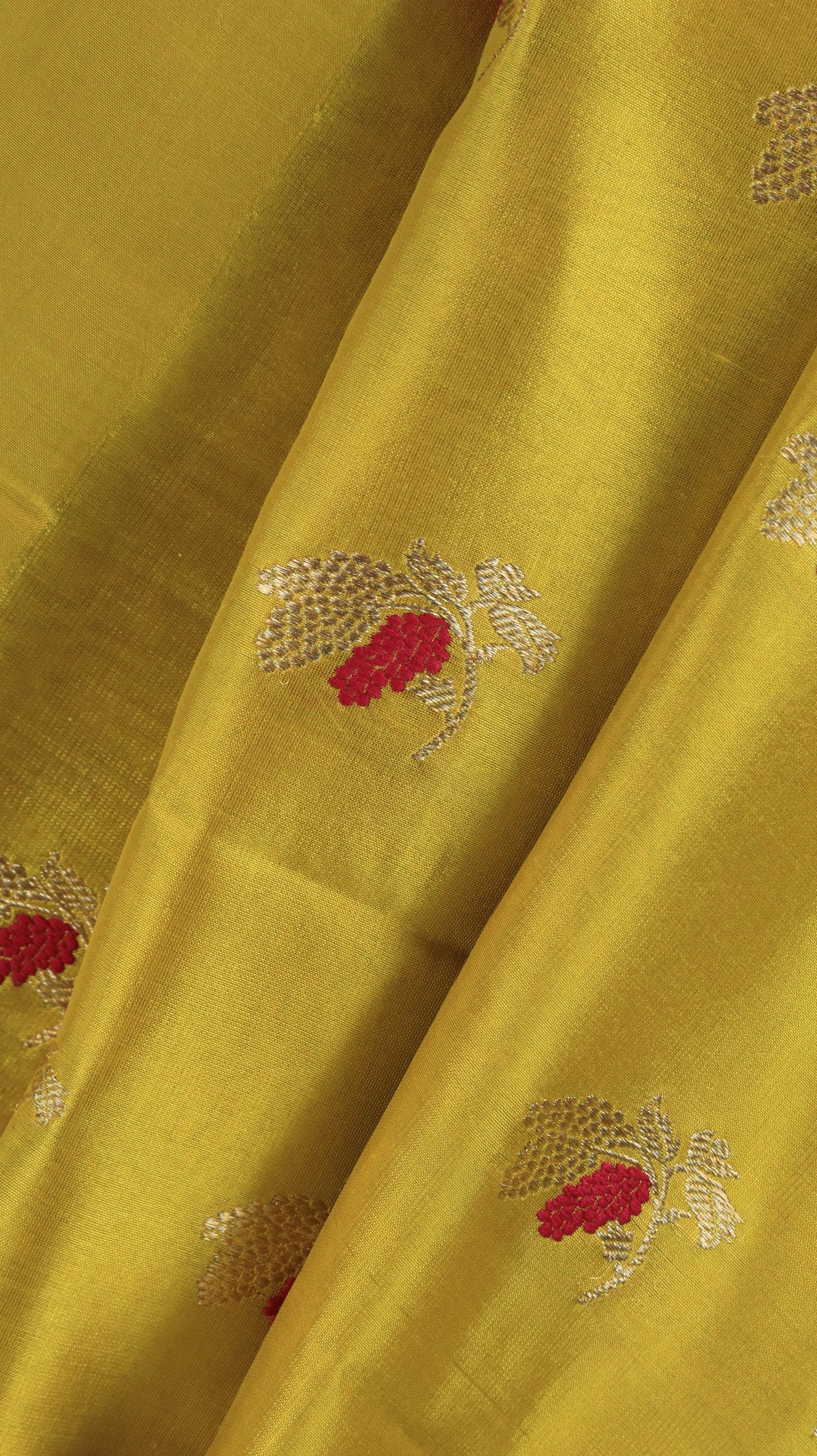 Sonalika | Chanderi