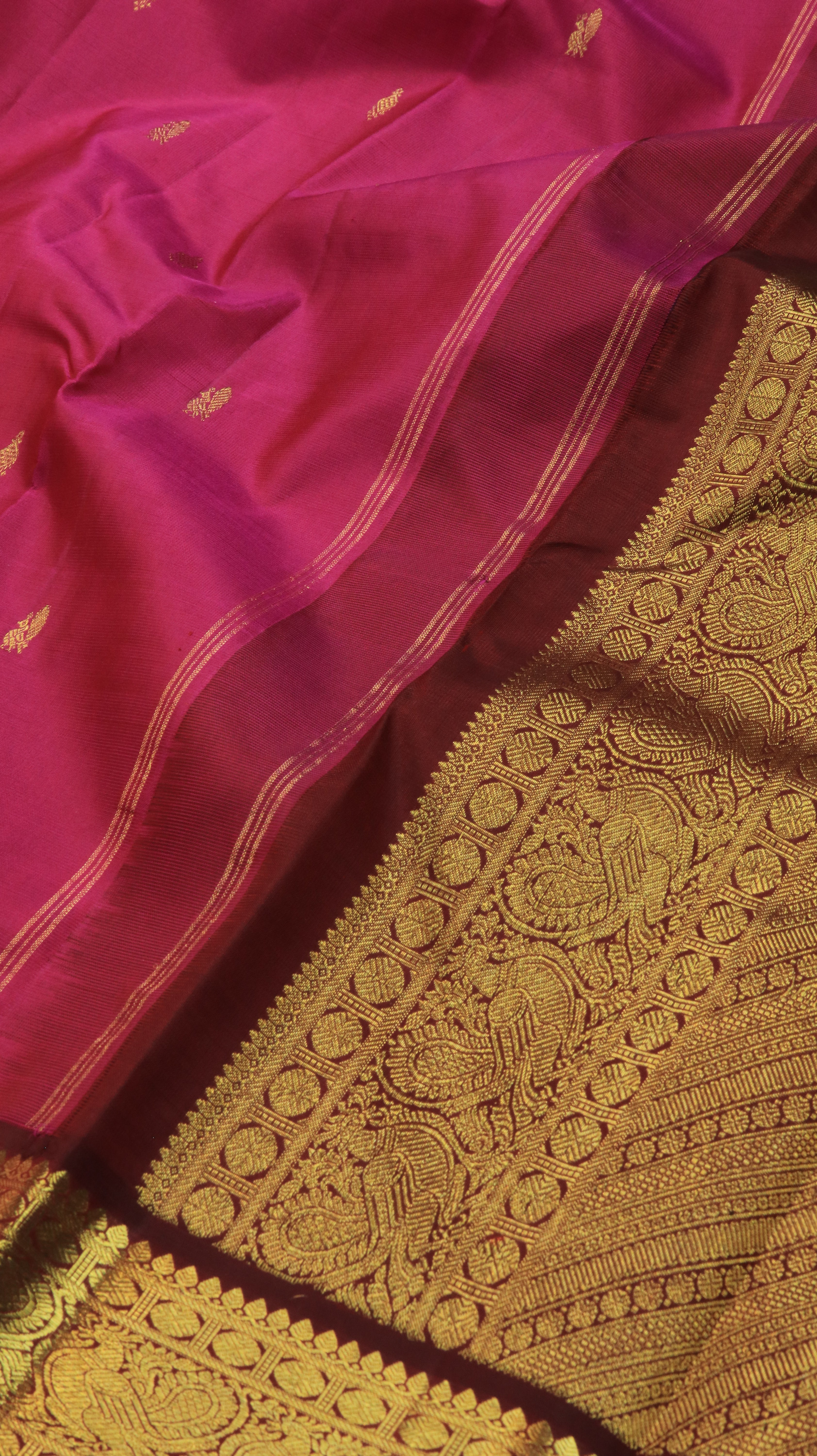 Varnika | Kanjivaram