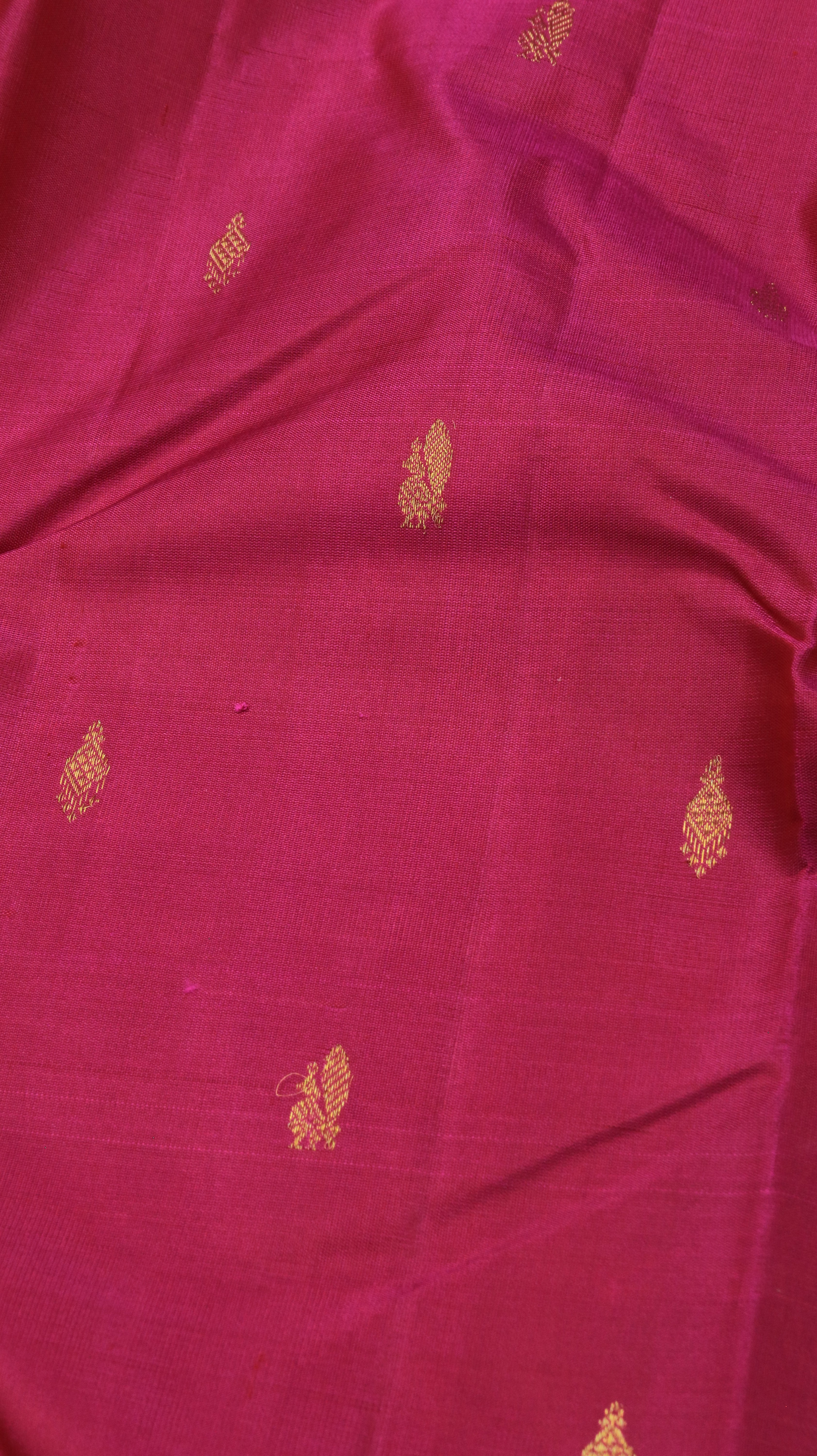 Varnika | Kanjivaram