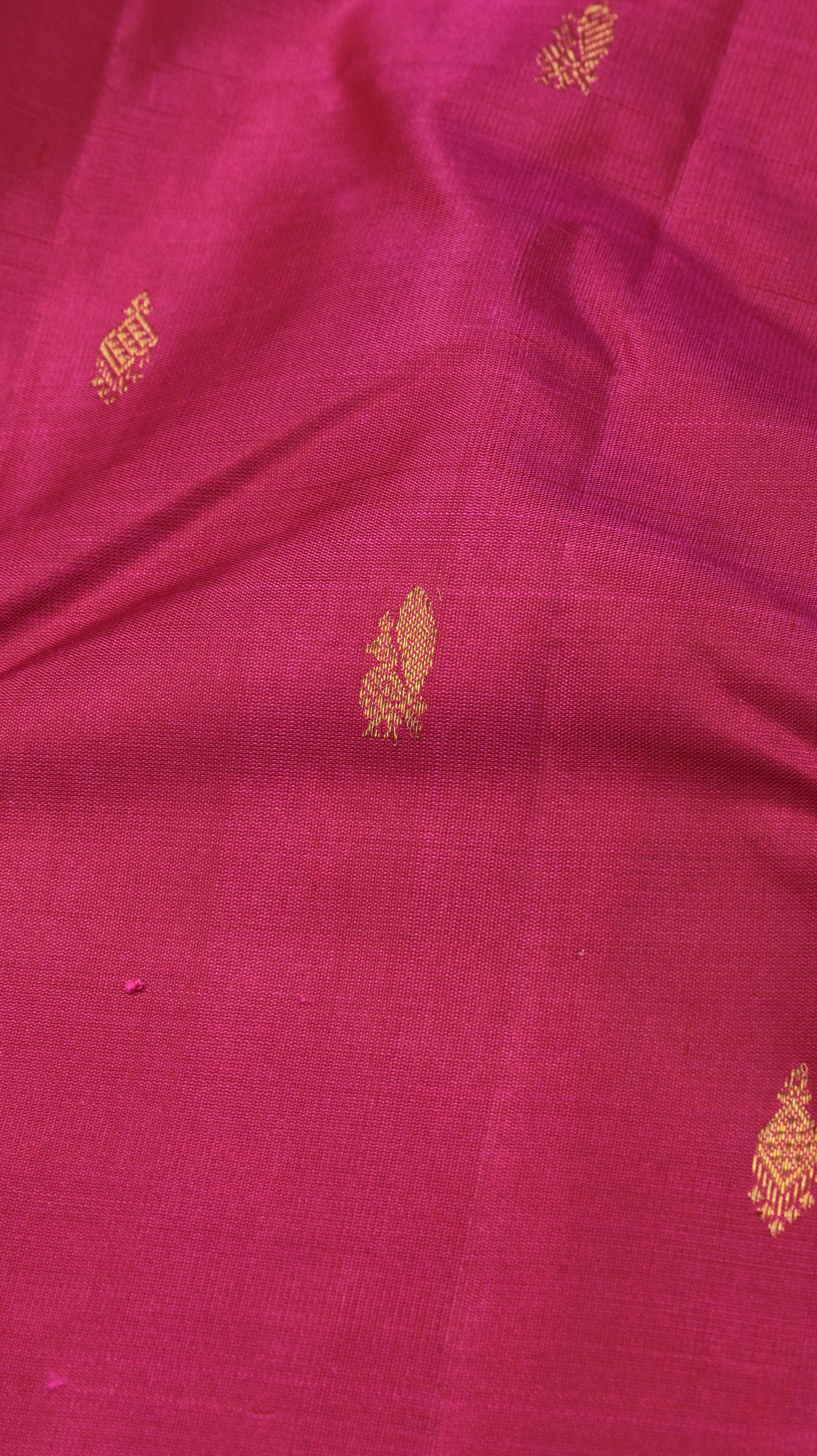 Varnika | Kanjivaram