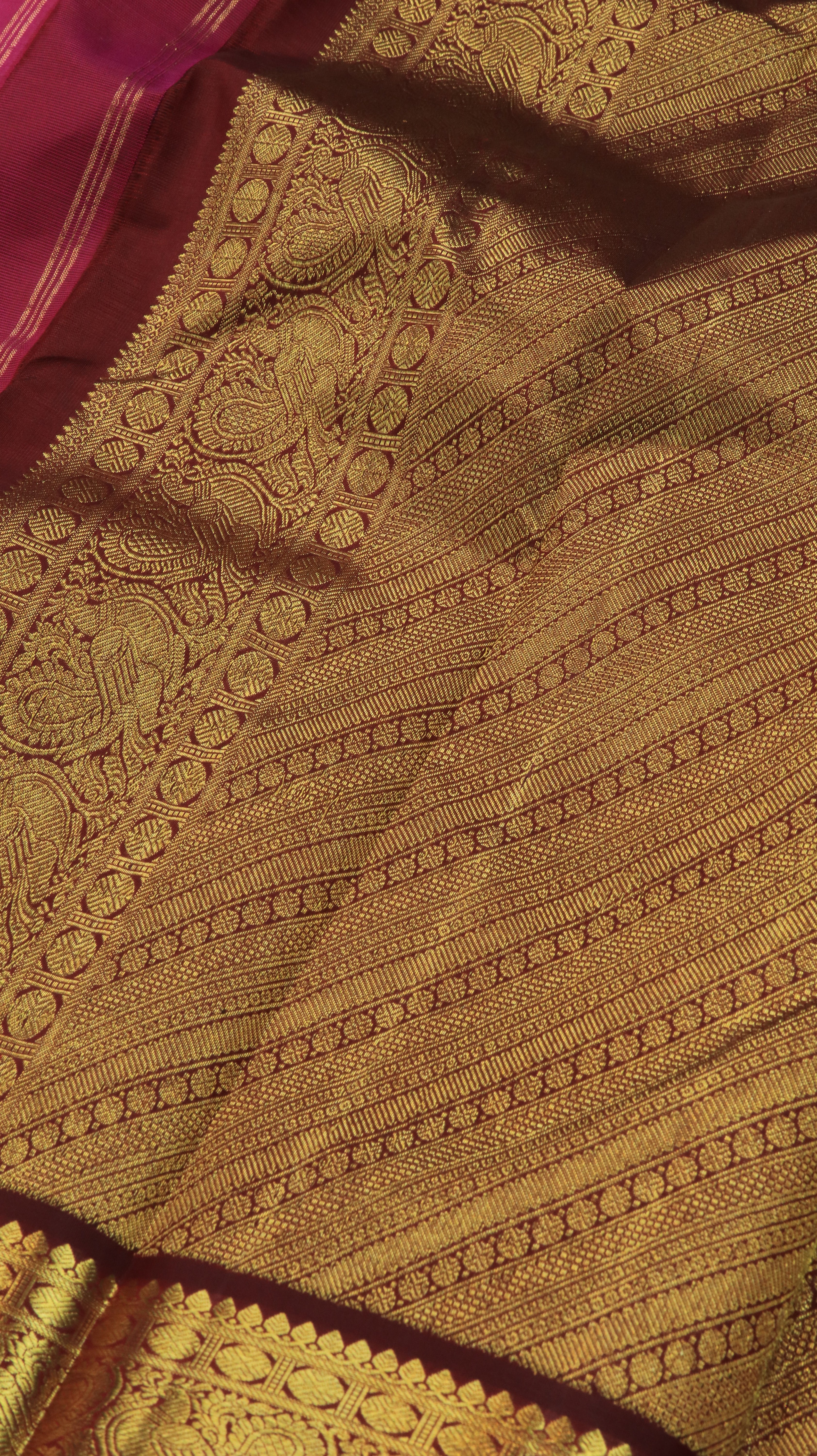 Varnika | Kanjivaram